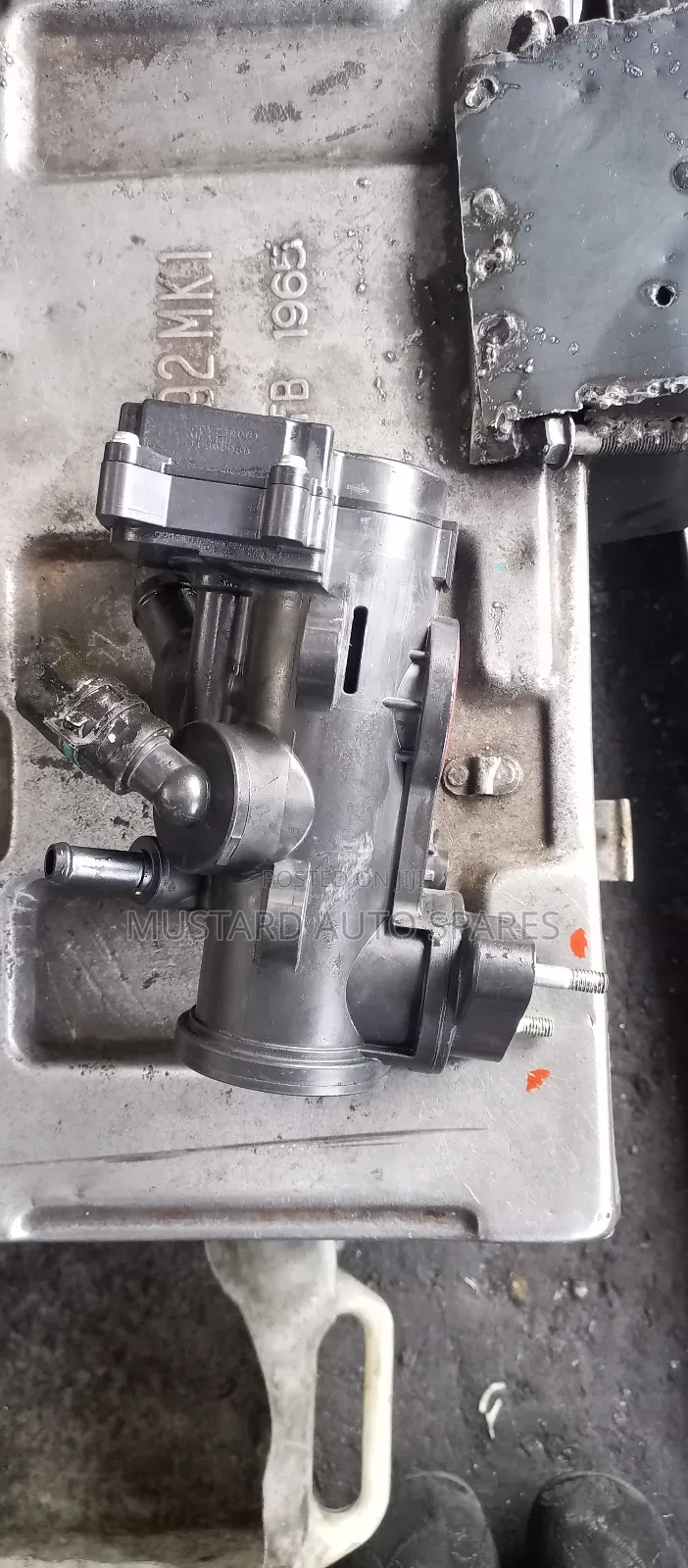 Thermostat Holder/Holder S5 Mazda Demio