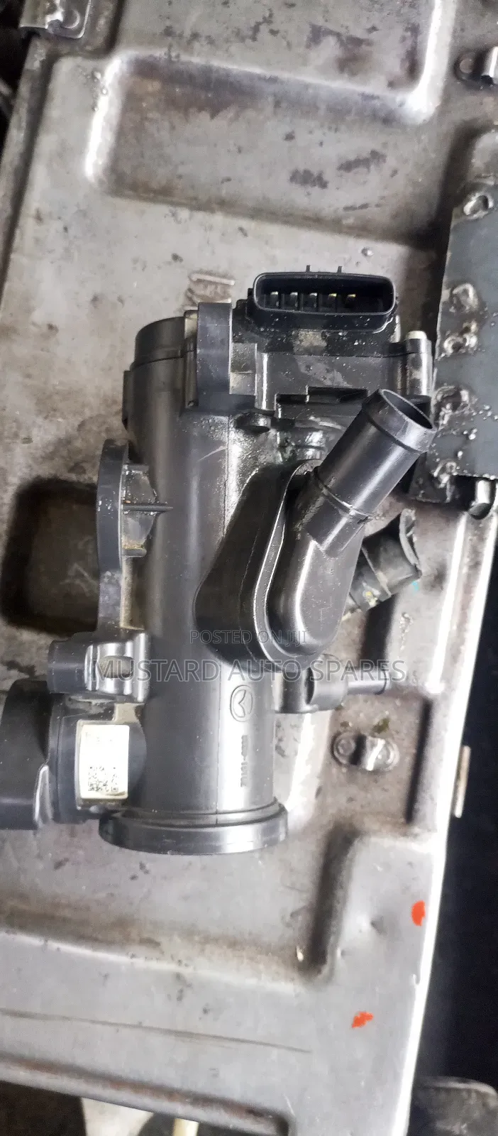 Thermostat Holder/Holder S5 Mazda Demio
