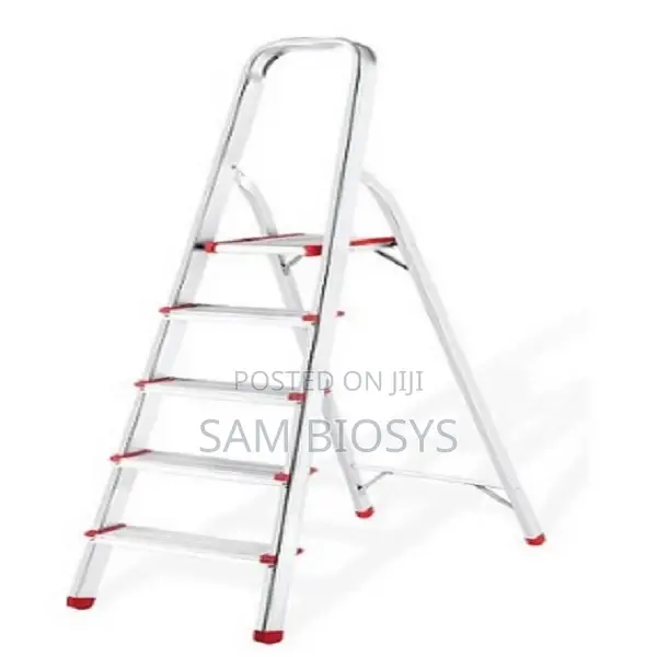 A Type 5 Step Ladder