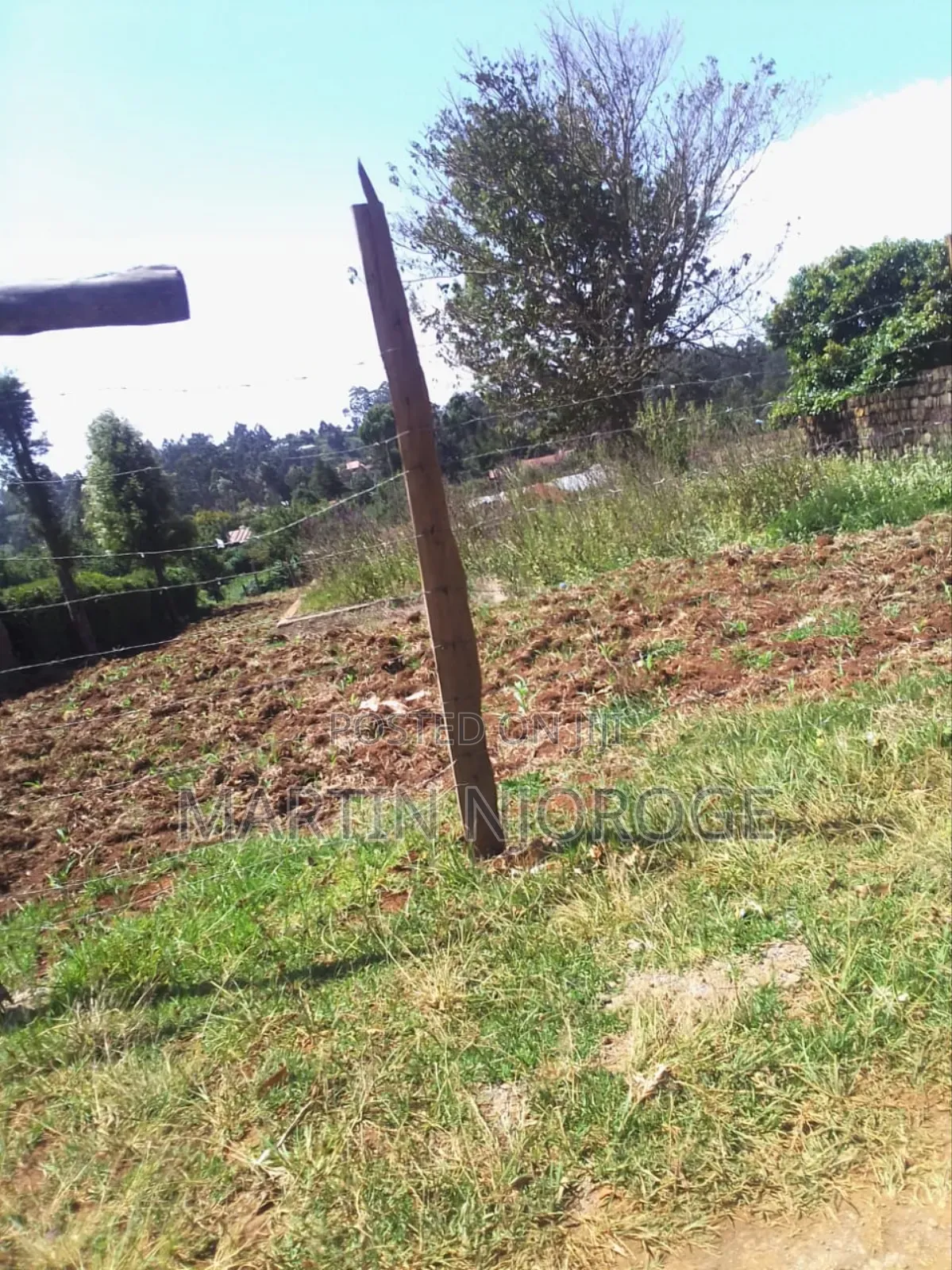 1⁄2 Acre Kirangi, Kirenga