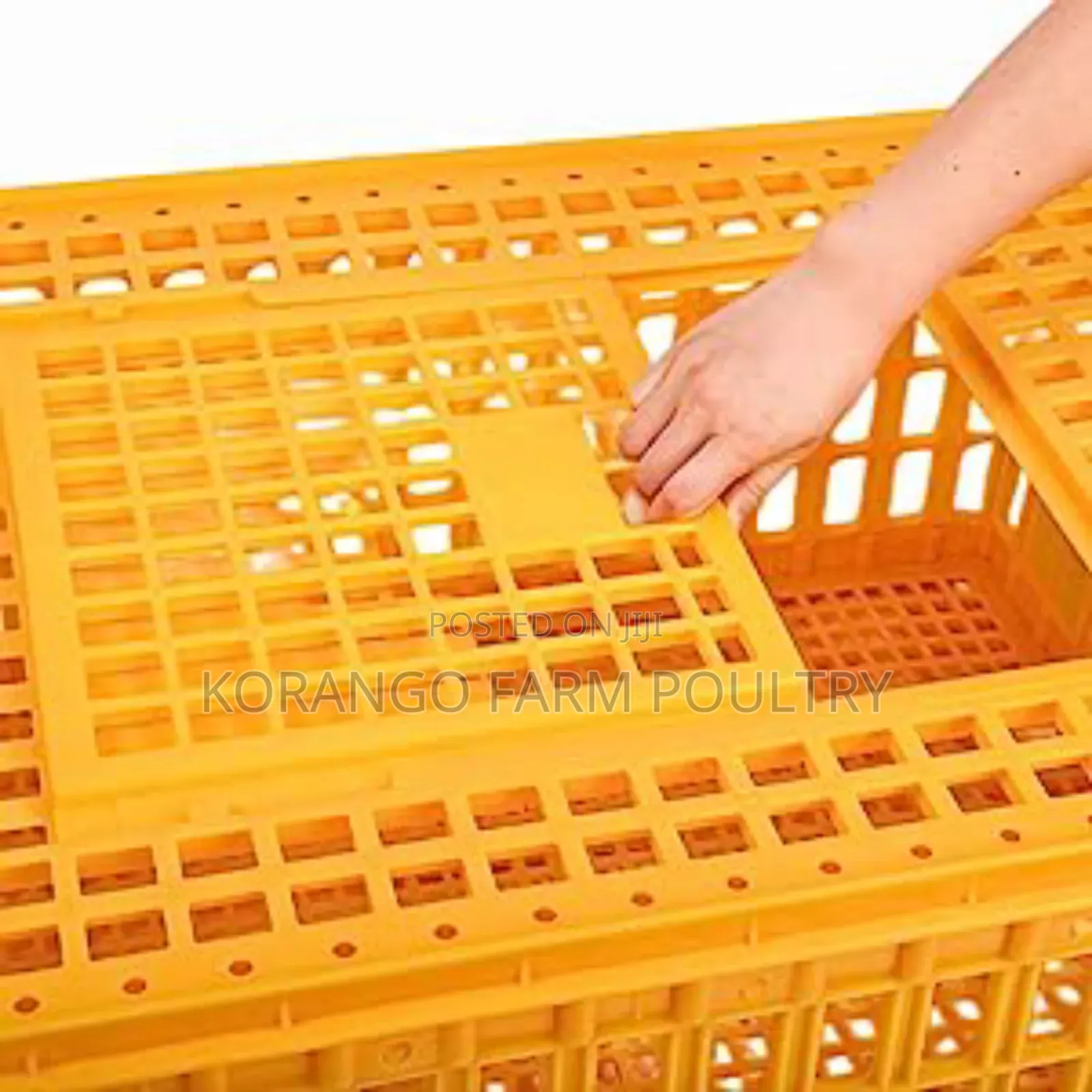 Chicken Transport Crate