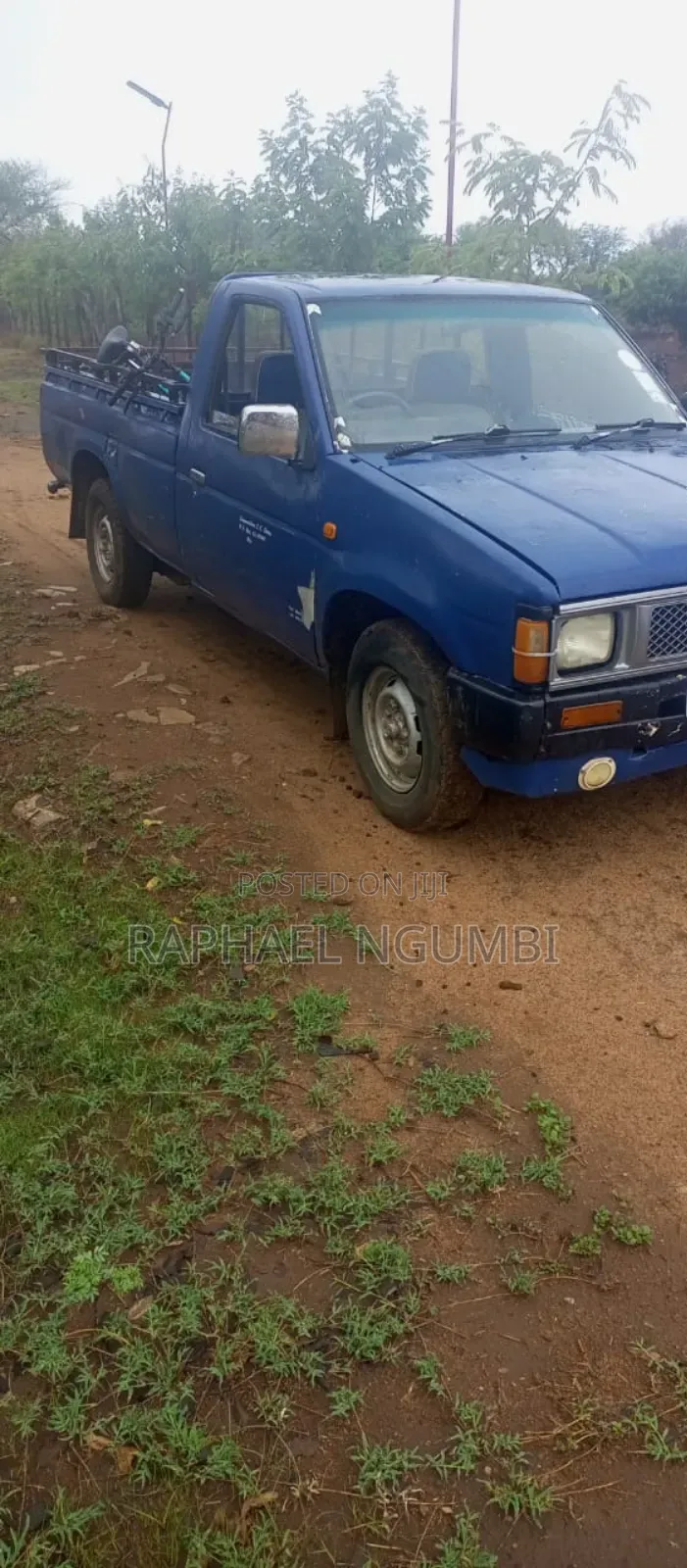 Nissan Pick-Up 1996 Black