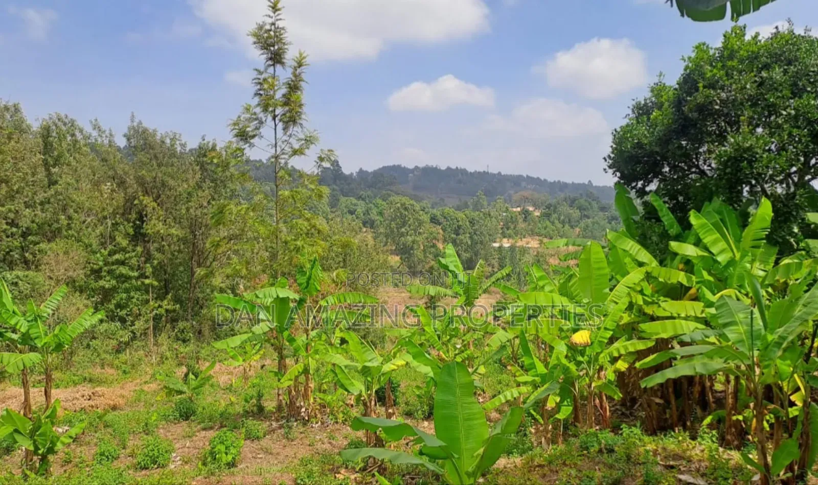 1 Acre Land for Sale in Ngong Matasia in a Gated Community