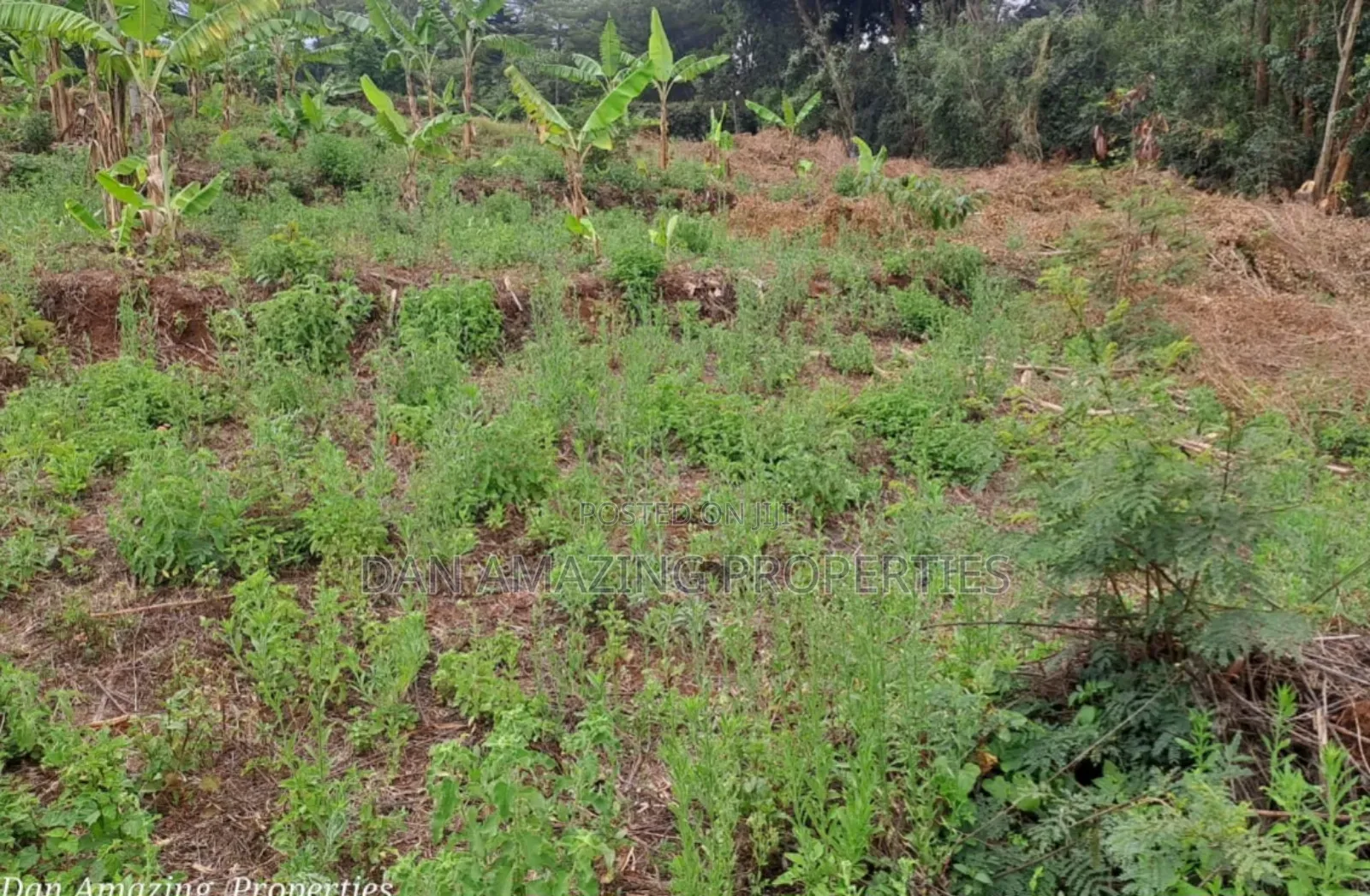 1 Acre Land for Sale in Ngong Matasia in a Gated Community