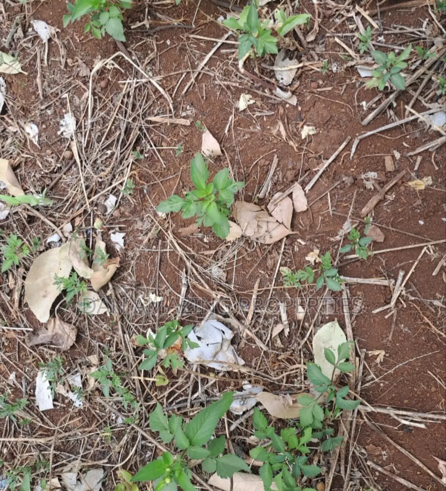 1 Acre Land for Sale in Ngong Matasia in a Gated Community