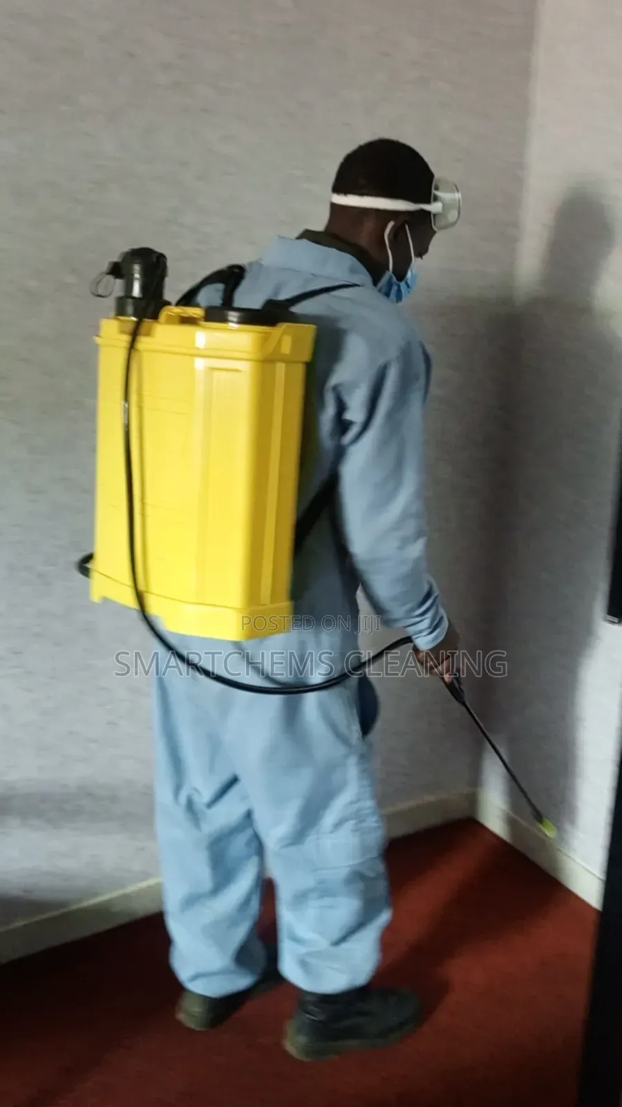 Roaches Extermination in Mlolongo