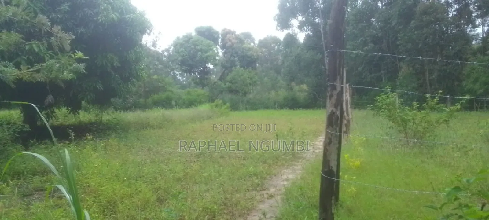 Plot at Tumba - Kasinga Area Next to Aic Kasinga