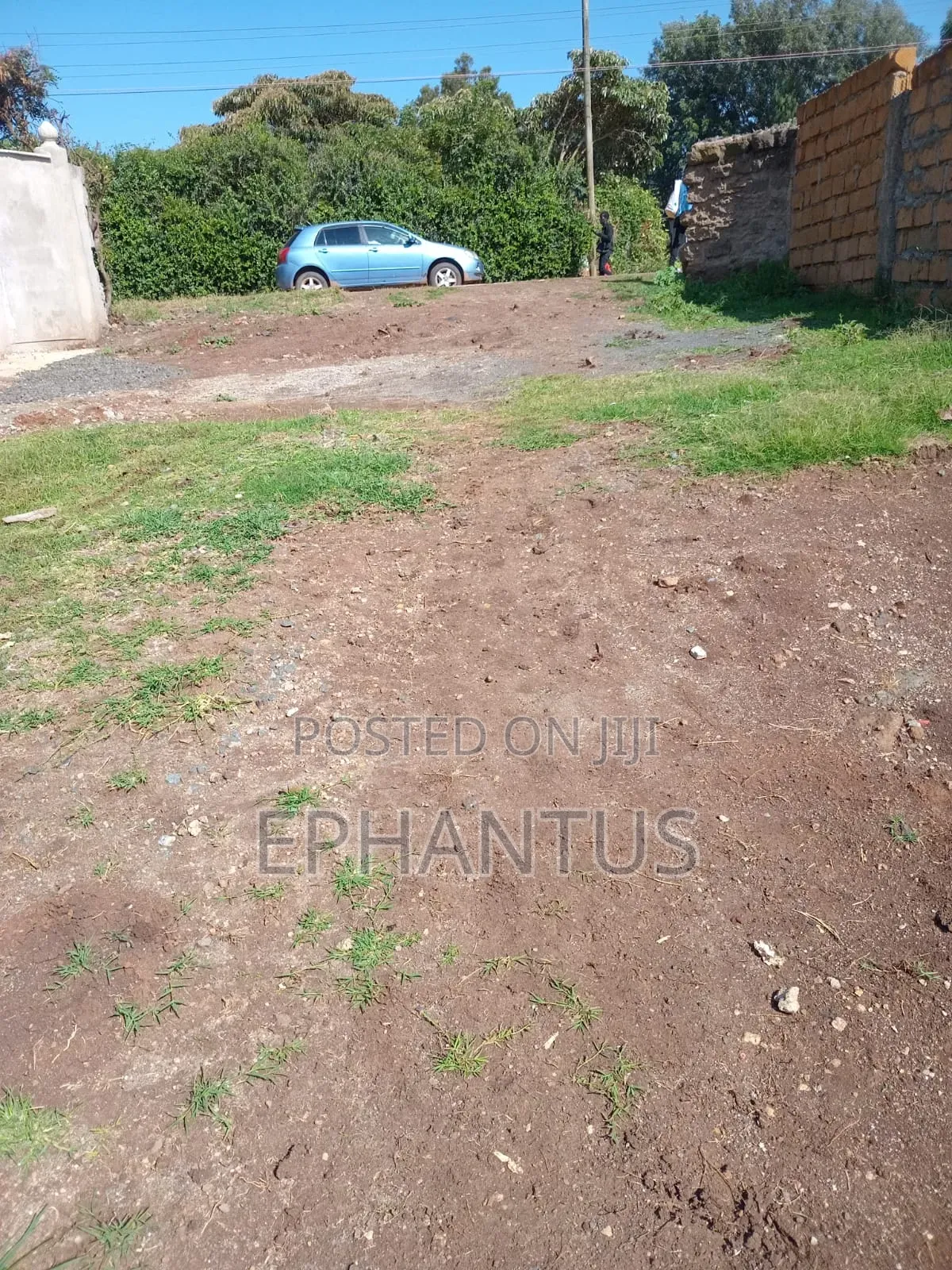 1/2 Acre Rongai at 14m