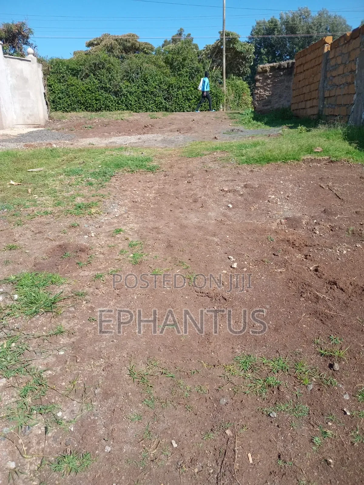 1/2 Acre Rongai at 14m