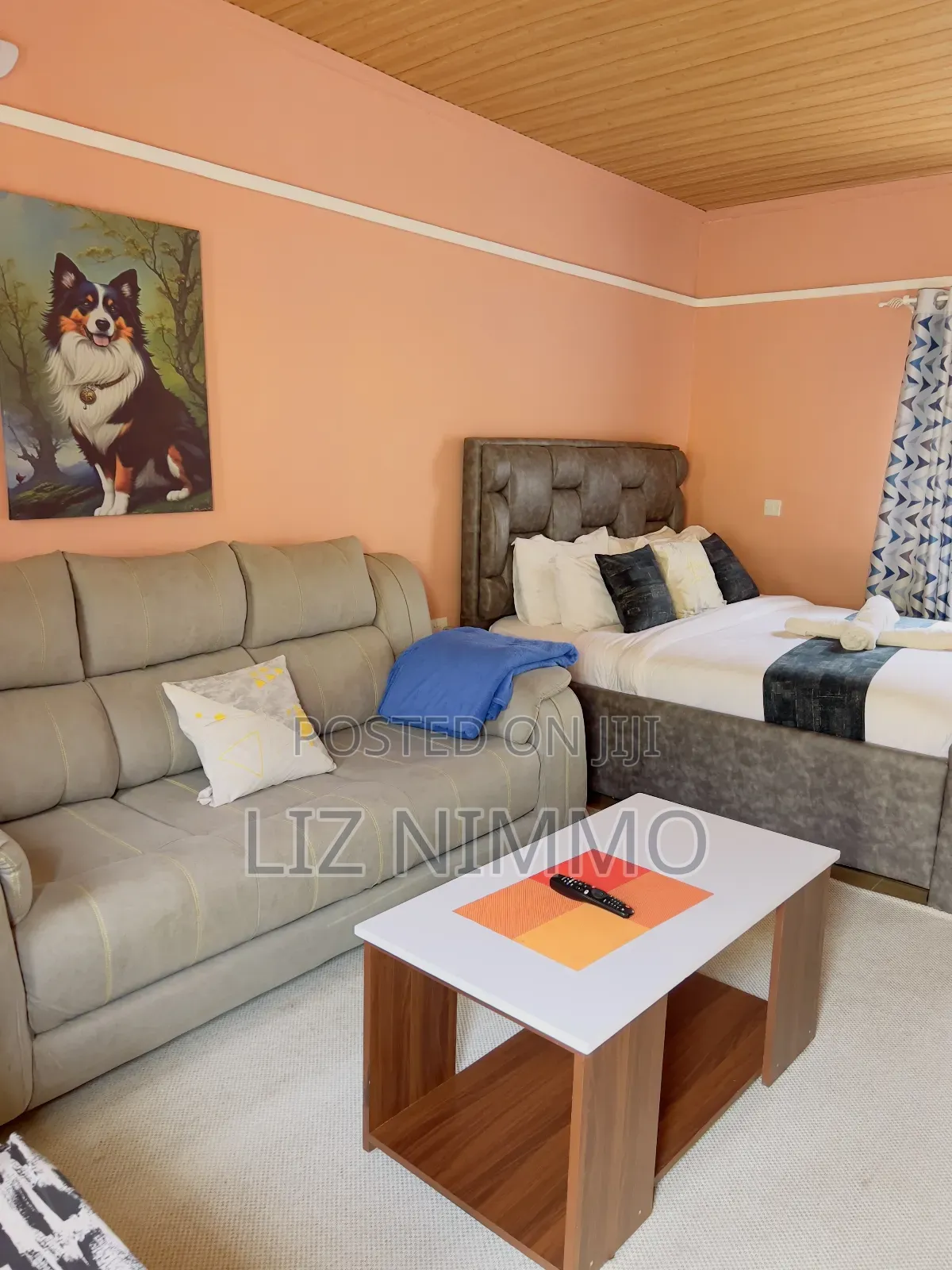 Fully Furnished Studios