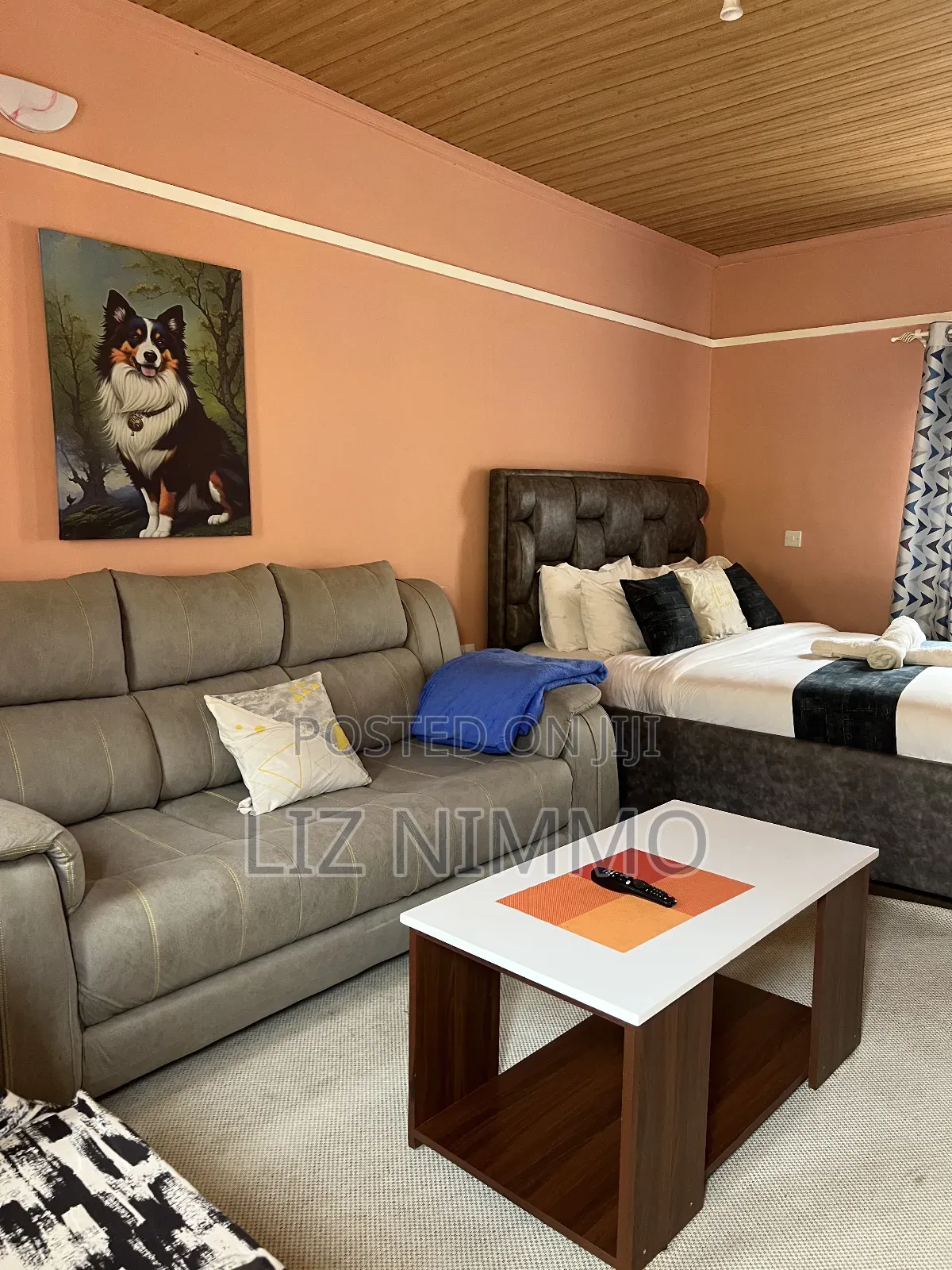 Fully Furnished Studios