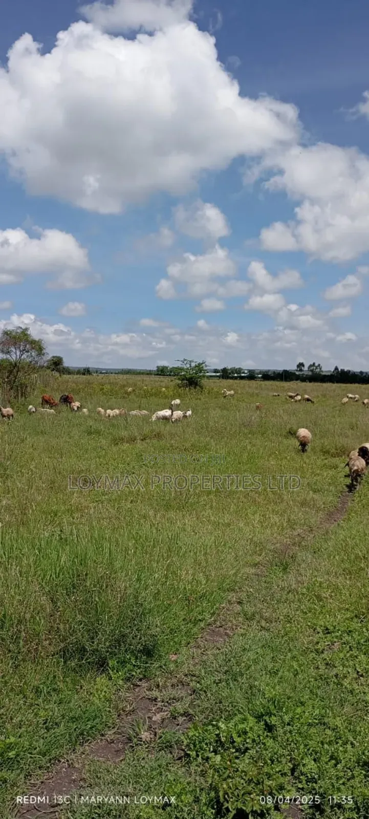 10 Acres Along Isinya Kiserian Road on Quick Sale