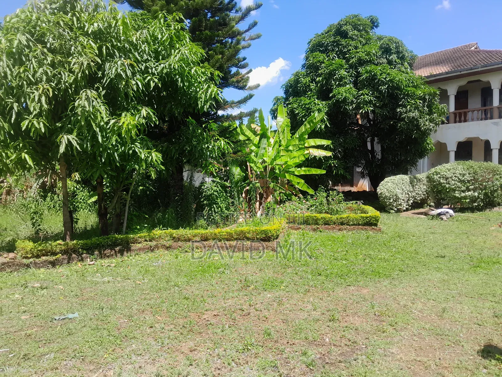 1/4 Plot Kahawa Sukari
