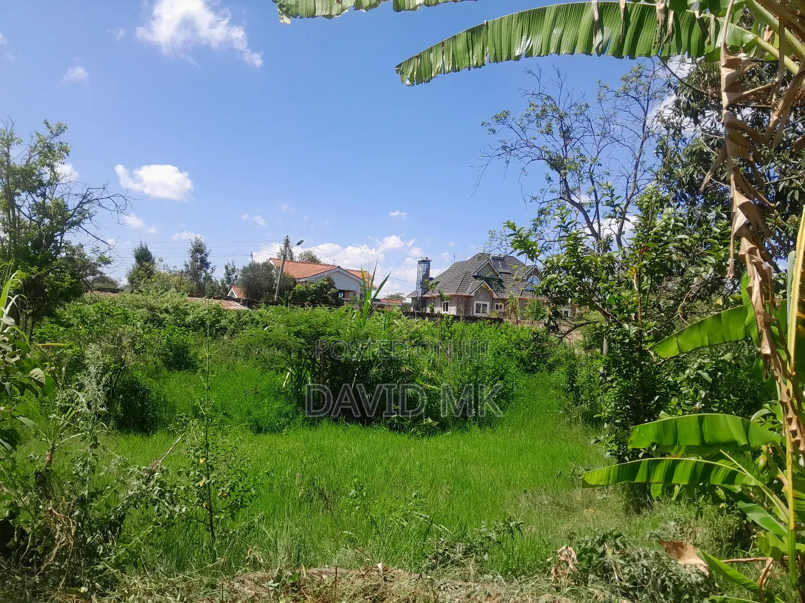 1/4 Plot Kahawa Sukari