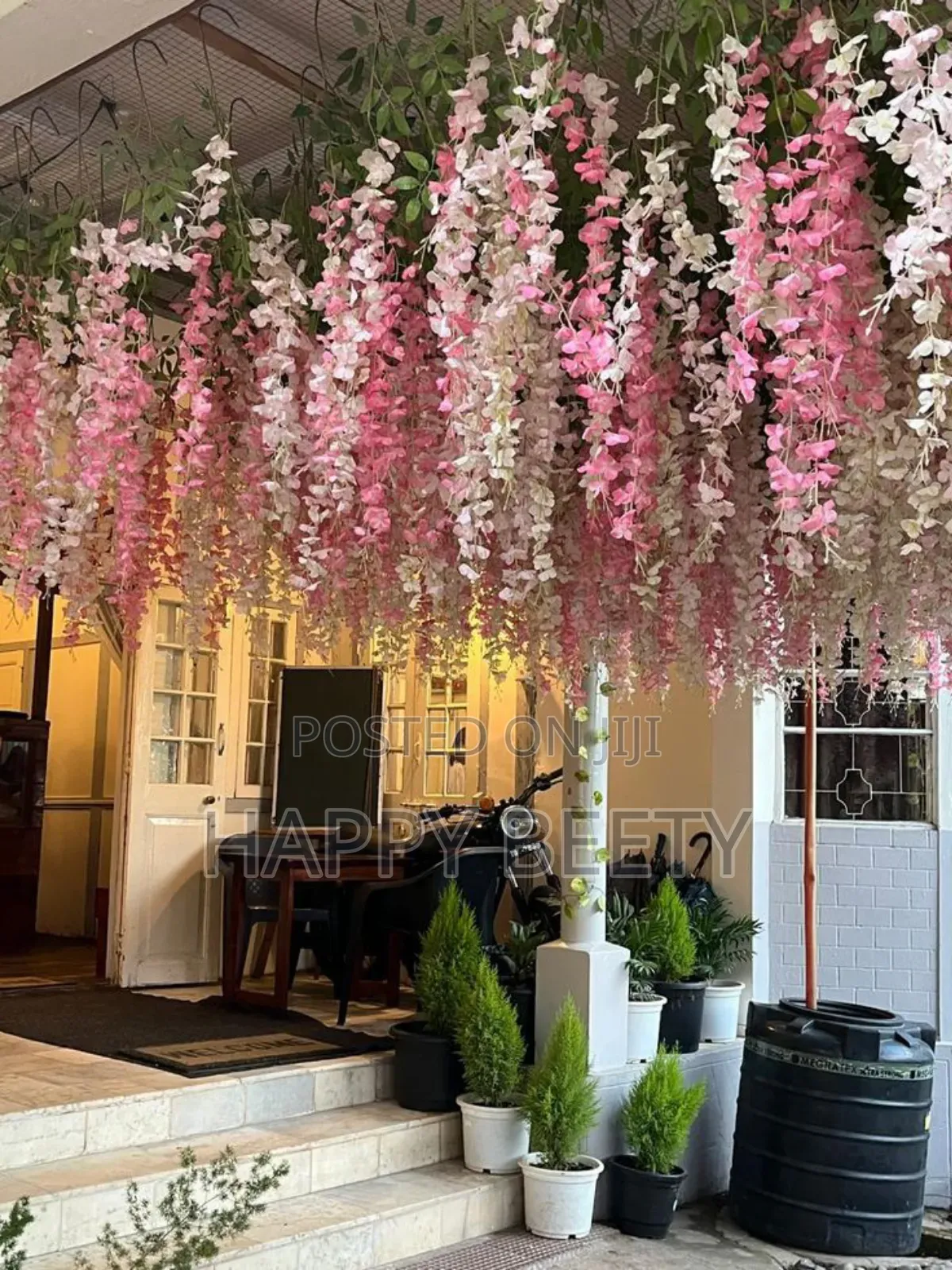 Colourful Aesthetic Winsteria Decor