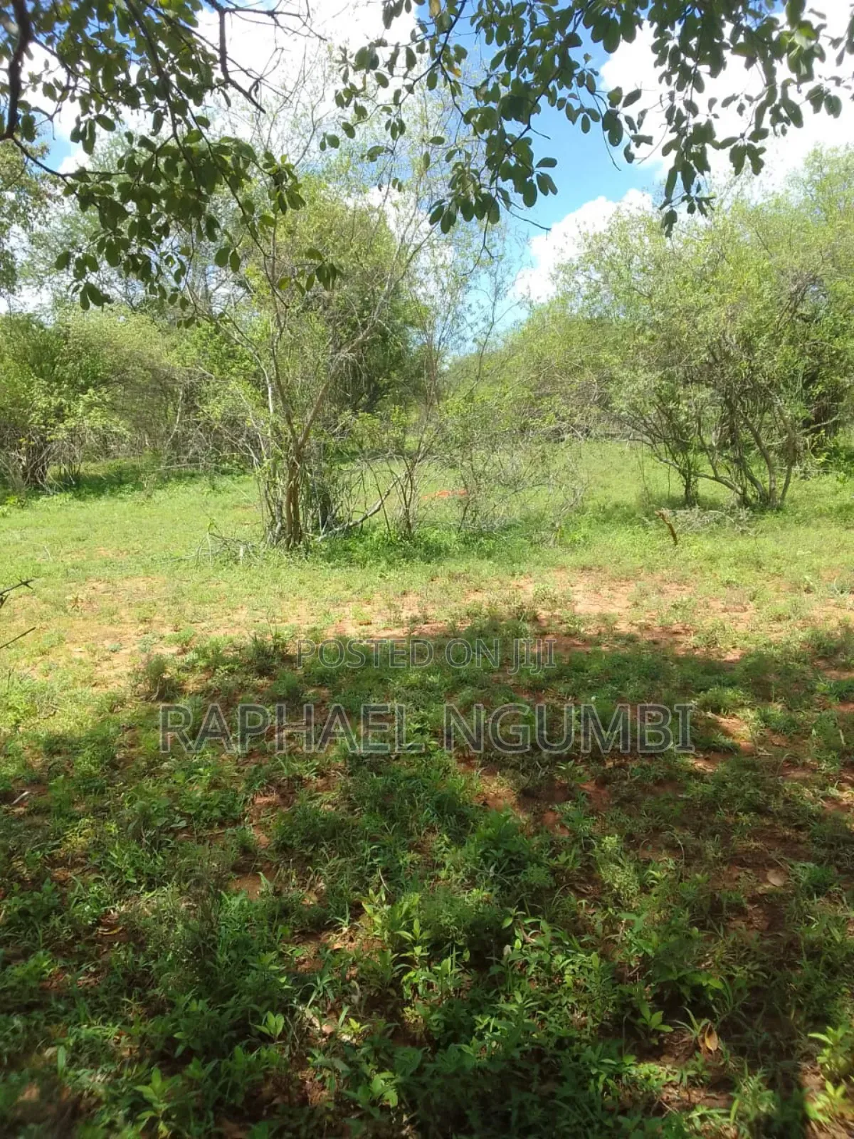 Land for Sale