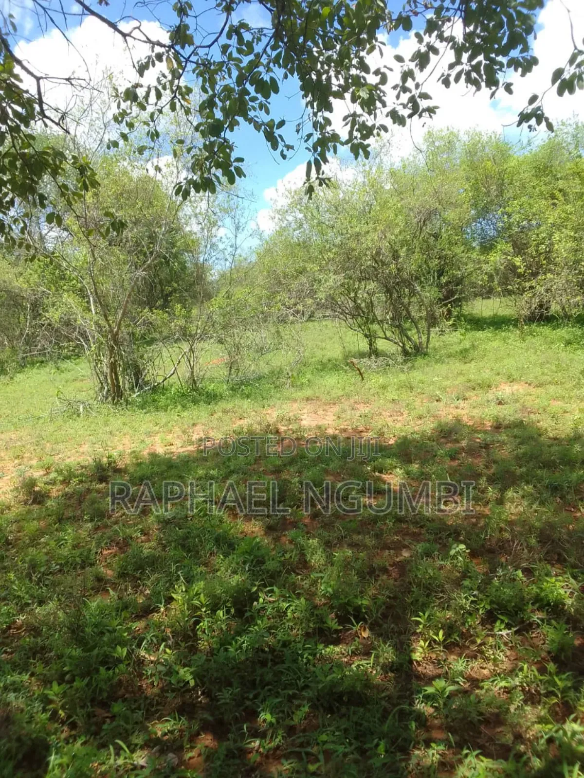 Land for Sale