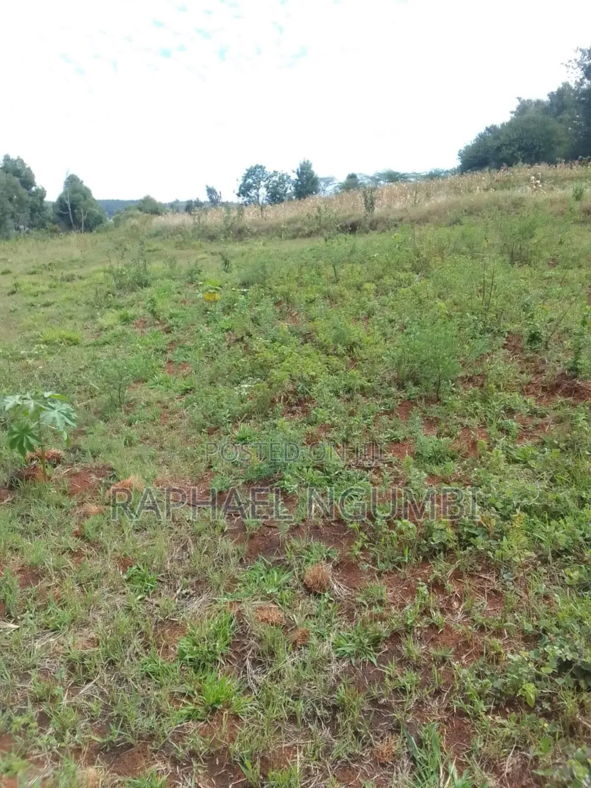 One (1) Acre Mua Kitanga Machakos County.