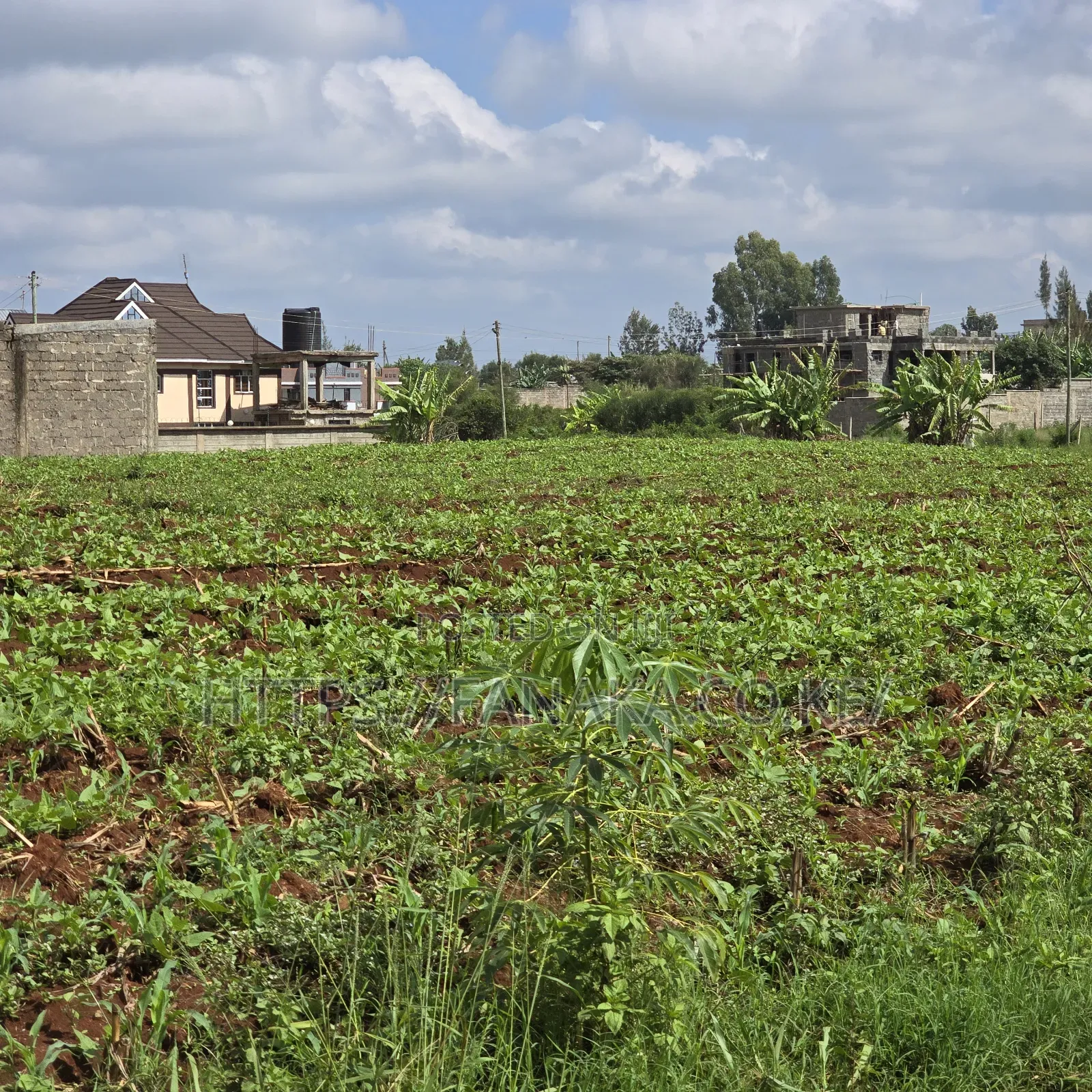 Residential Plots in Ruiru-Mugutha ^Jm