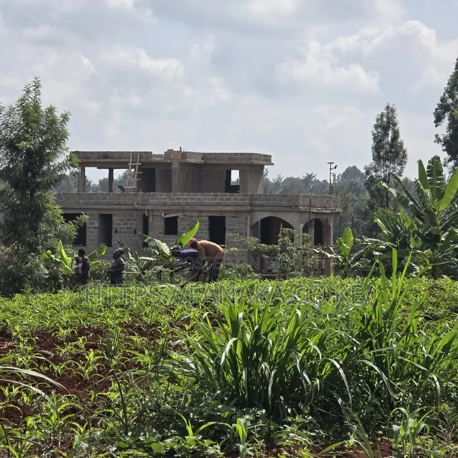 Residential Plots Near Spur Mall, Thika Road ^Jm
