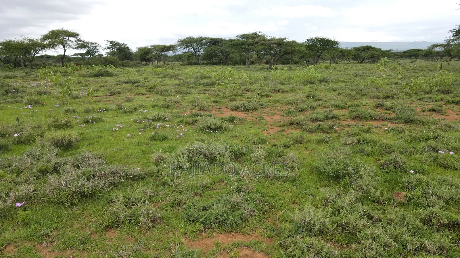 Prime 2 Acres Touching Ewuaso-Najile Road