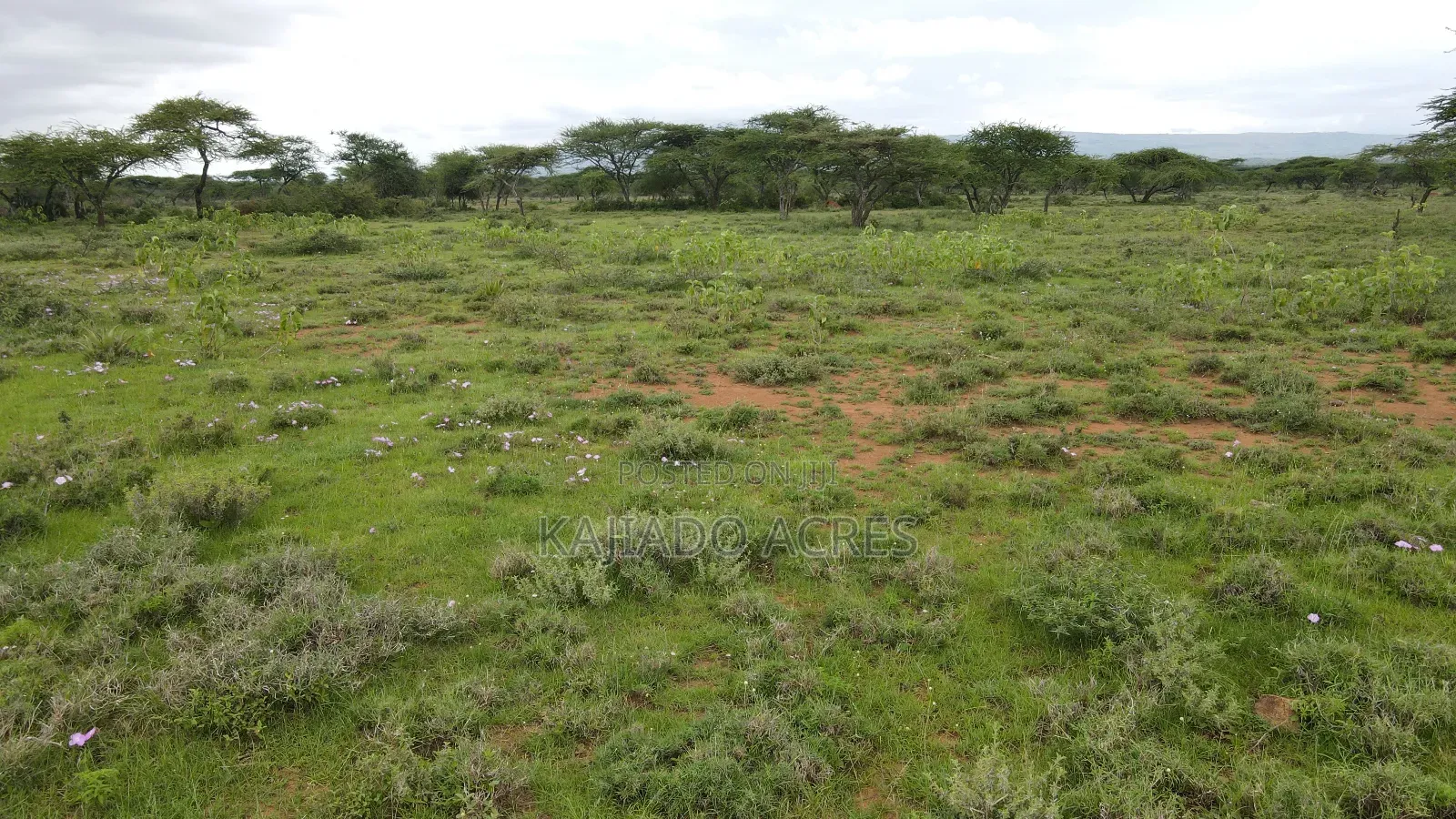 Prime 2 Acres Touching Ewuaso-Najile Road