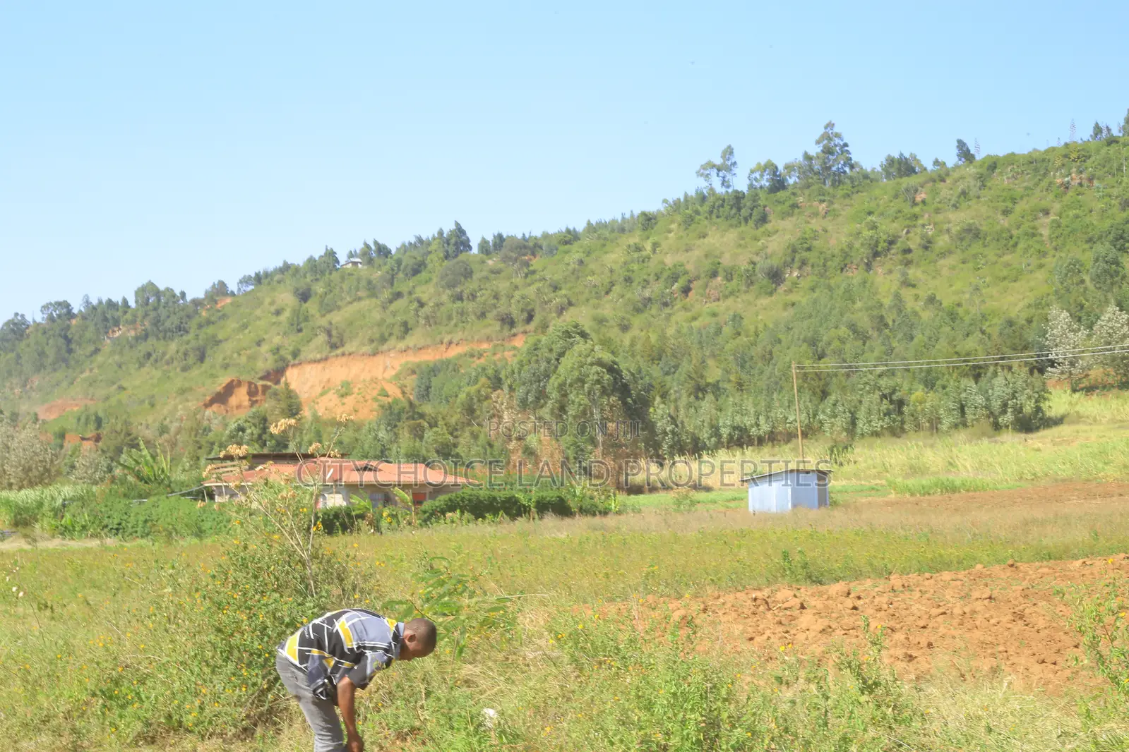 Prime 1/8 Acre Residential Plots for Sale – Nachu Mbomboini