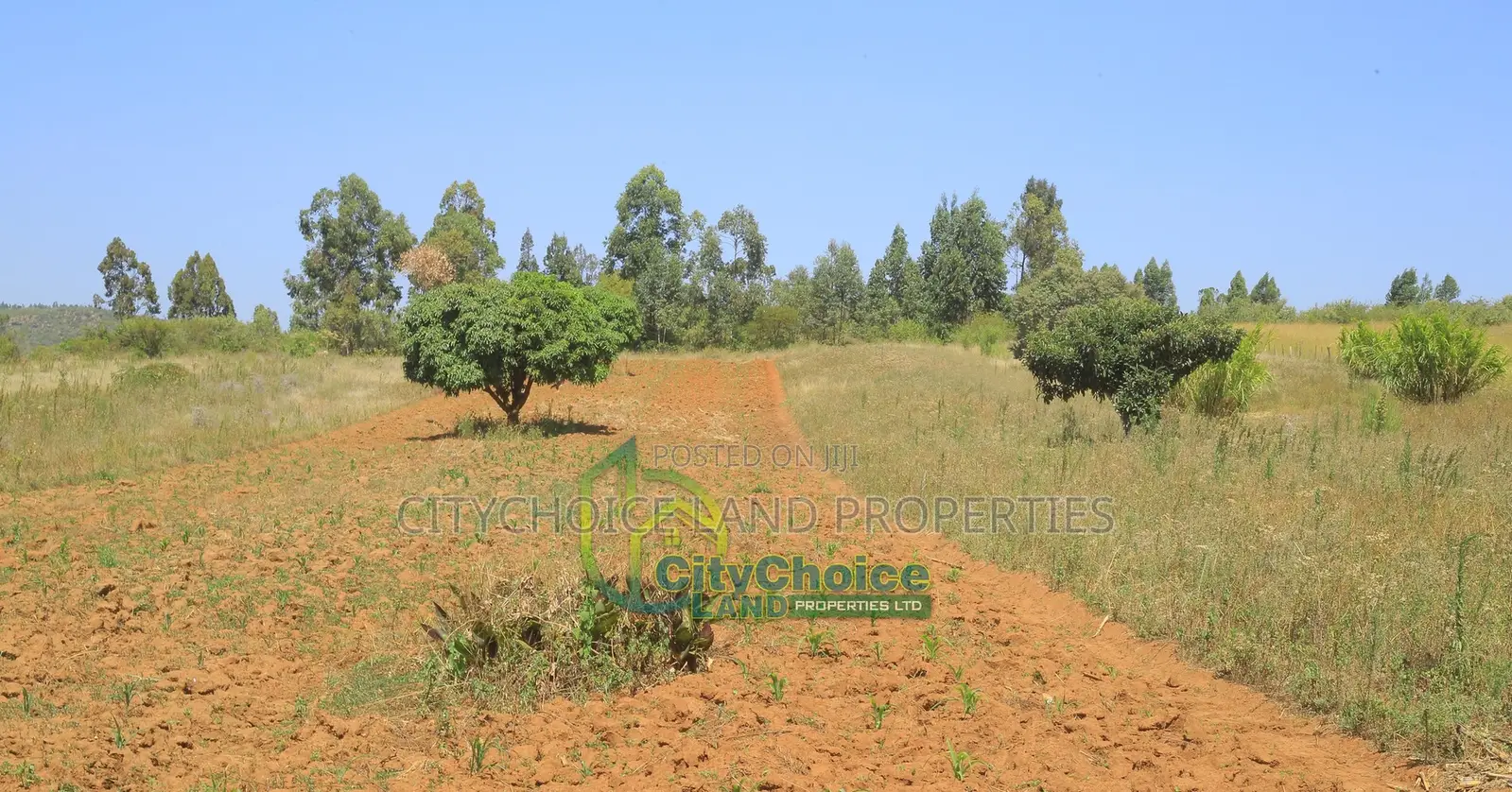 Make a Deposit Own Land in Nachu, Mbomboini.
