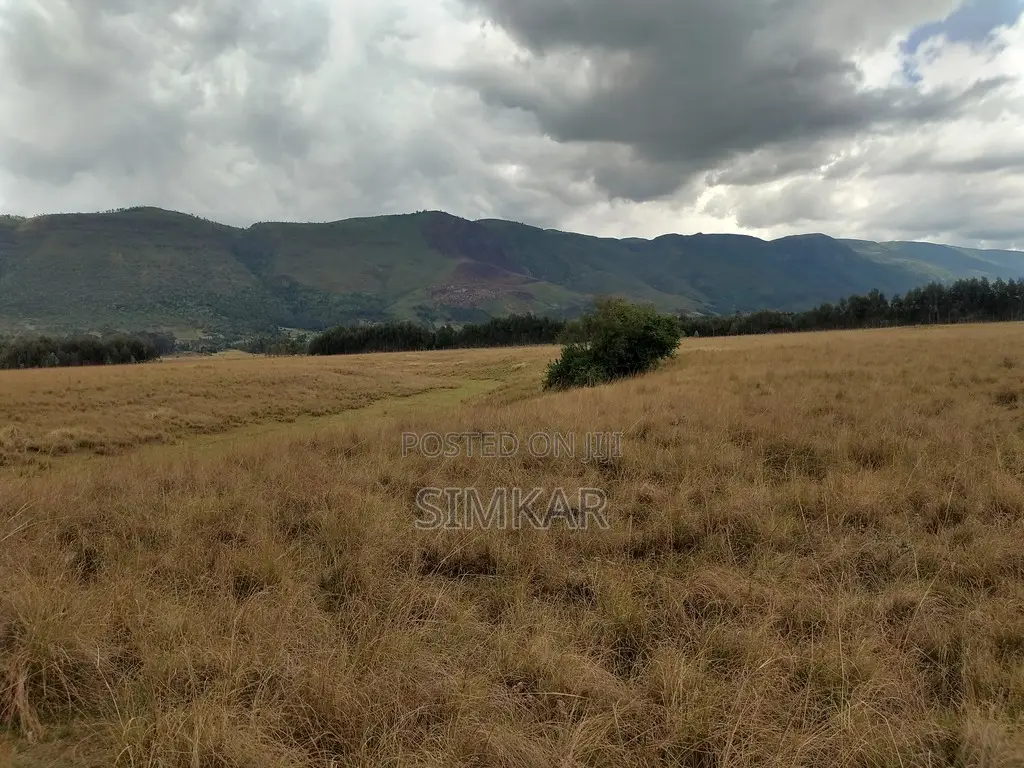 62.179 Acres of Land for Lease in Kipipiri, Nyandarua