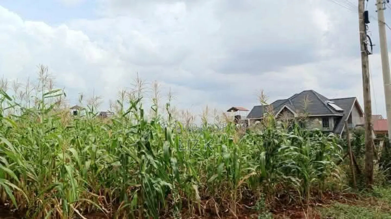 Controlled 1/4 Plots for Sale in Thika-Gatanga Rd.Karangaita