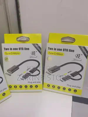 Two in 1 Otg Type C and Micro Plug and Play