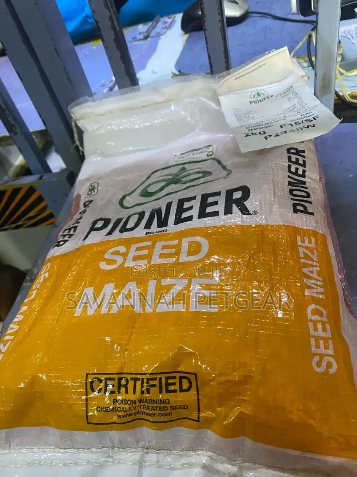 Pioneer Maize Seeds P2848w Early Maturing - 2kg