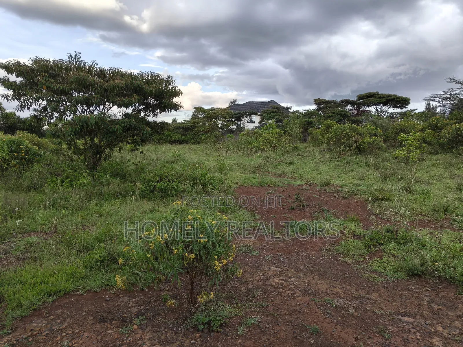 Quarter Acre Plot in Ongata Rongai Acacia Along Merisho Road