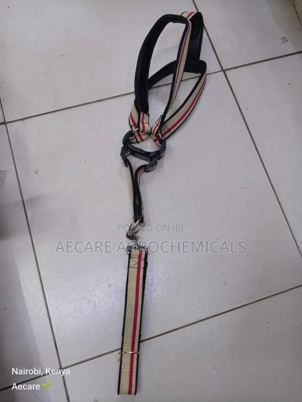 Large Dog Leash/Lead Annex + Large Dog Harness