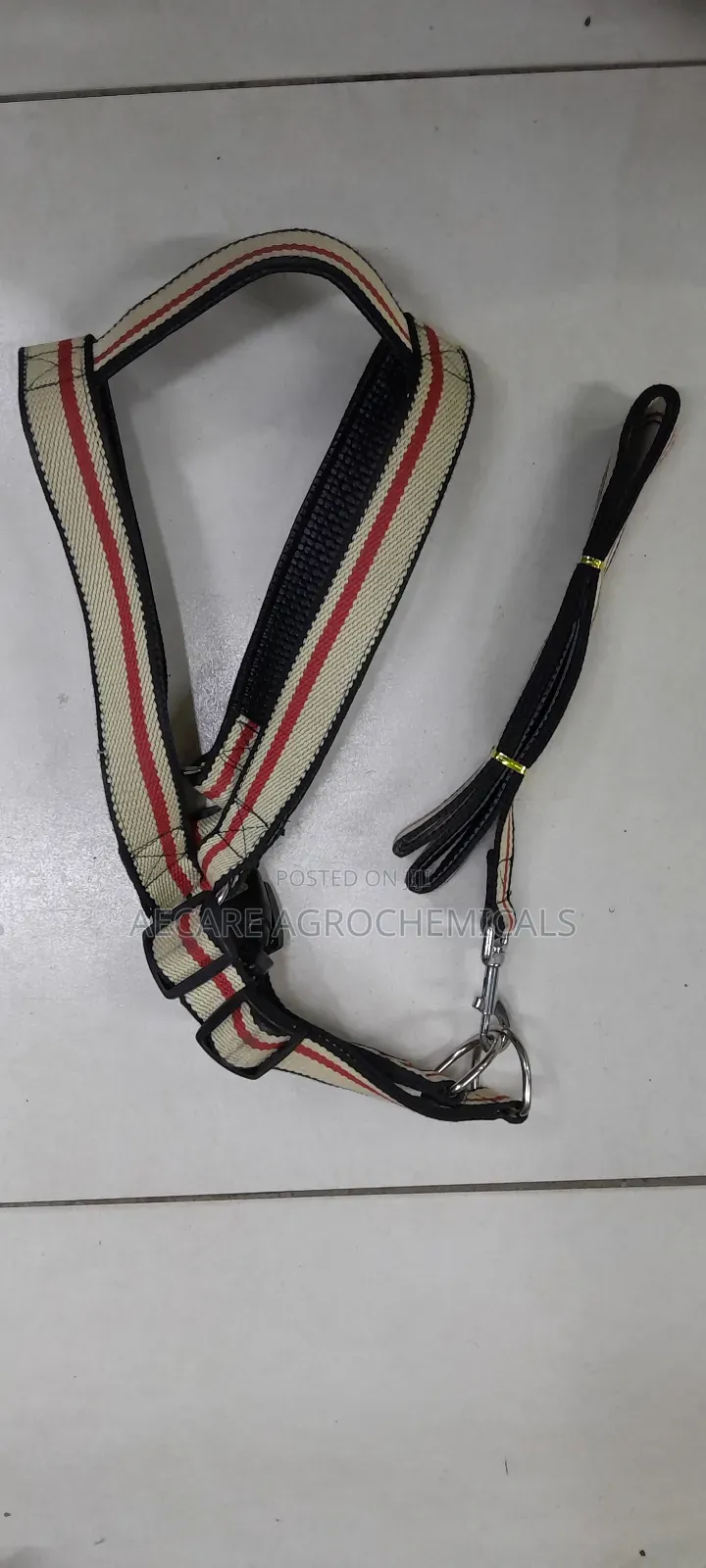 Large Dog Leash/Lead Annex + Large Dog Harness
