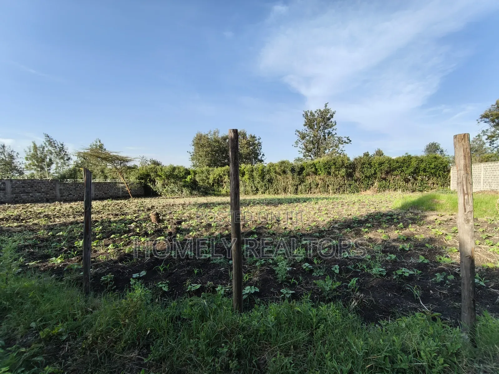 Quarter Acre Plot in Ongata Rongai, Rimpa Near the Tarmac