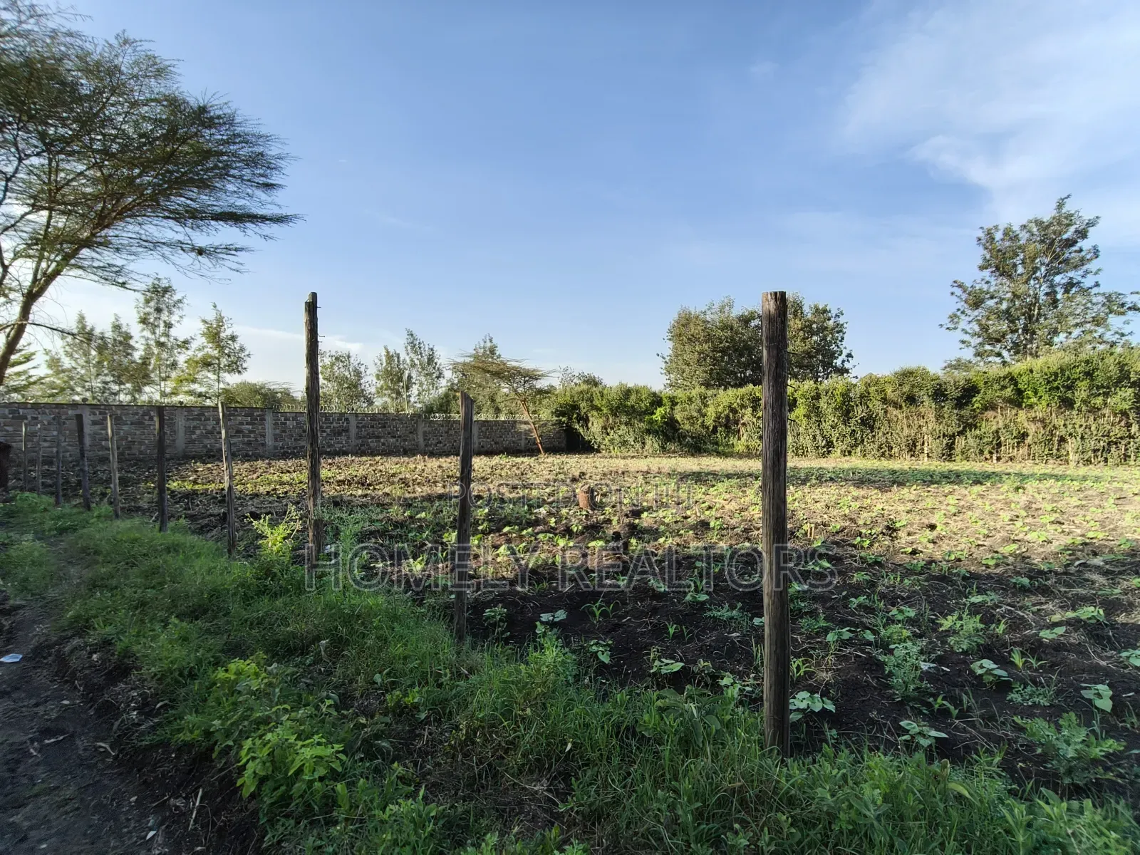 Quarter Acre Plot in Ongata Rongai, Rimpa Near the Tarmac
