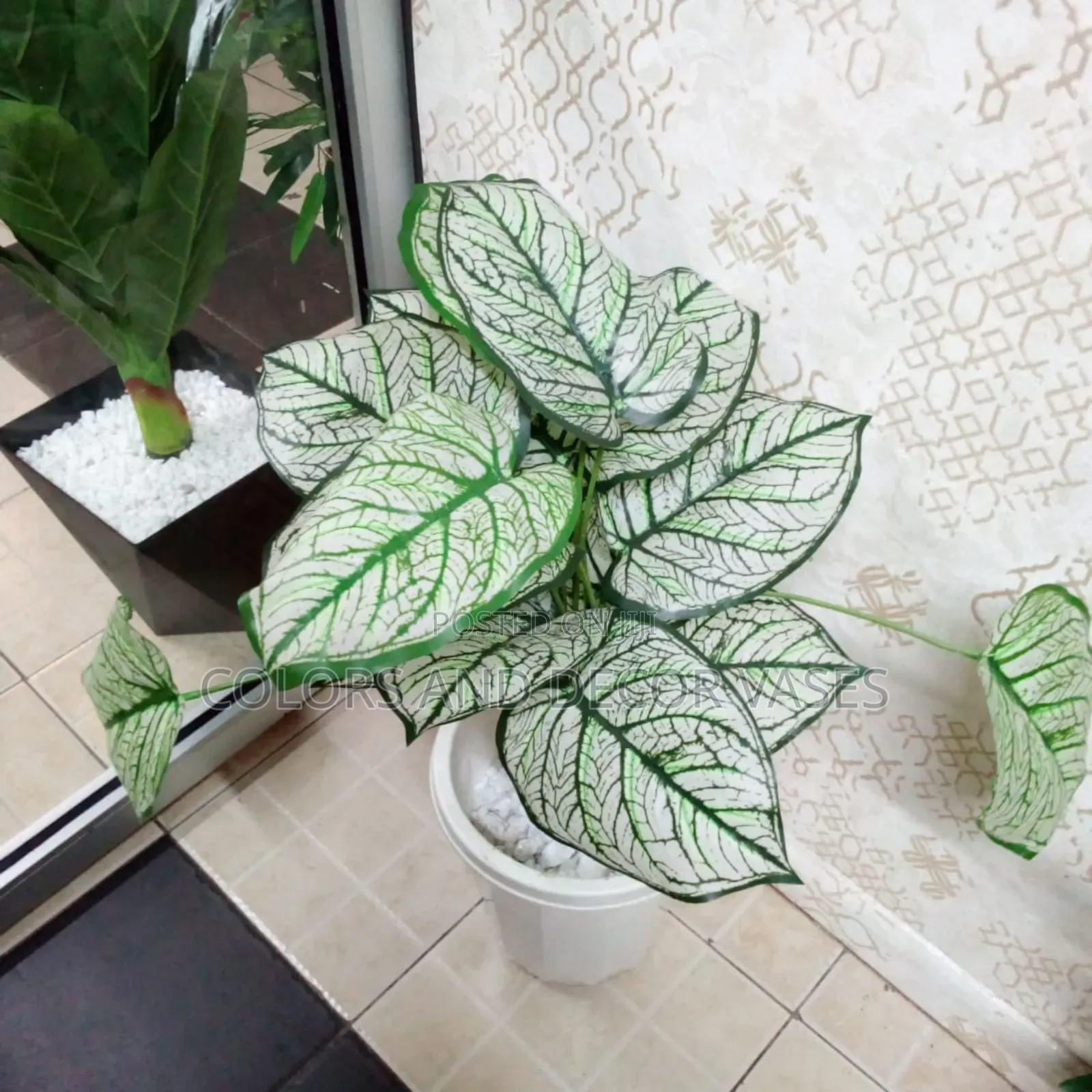 White Plant With Vase
