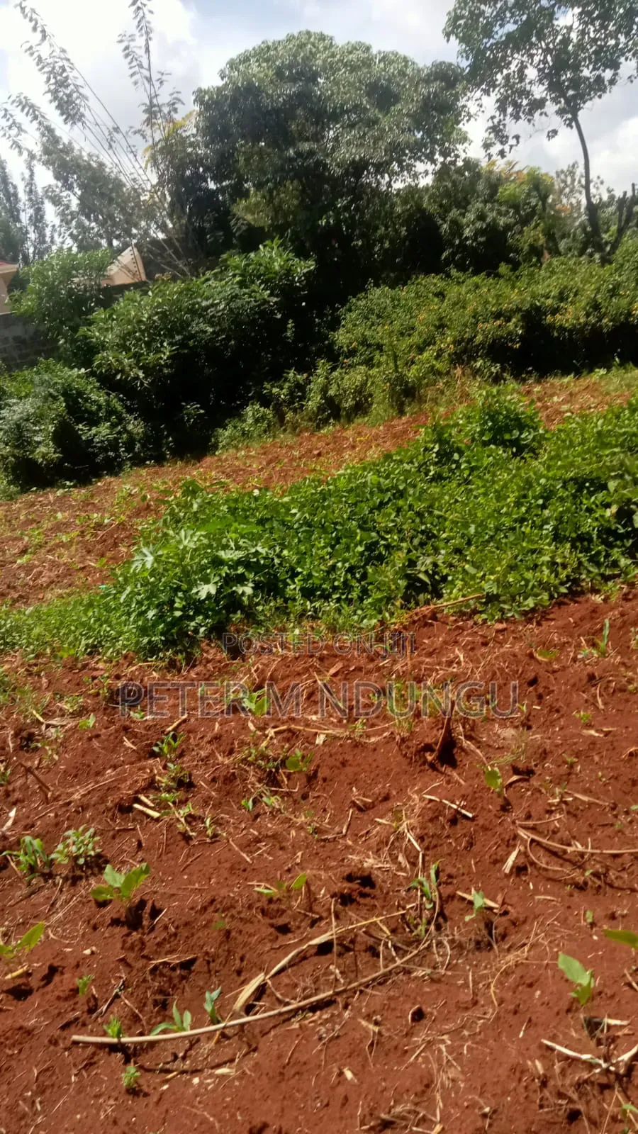 Thome 1/4 Land on Sale, Gated Community