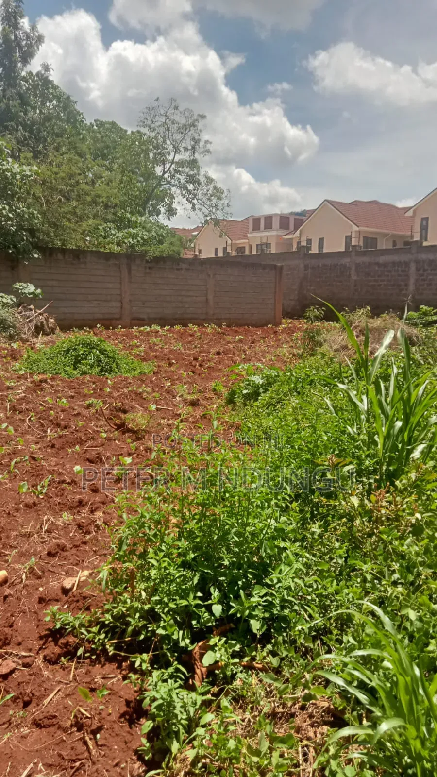 Thome 1/4 Land on Sale, Gated Community