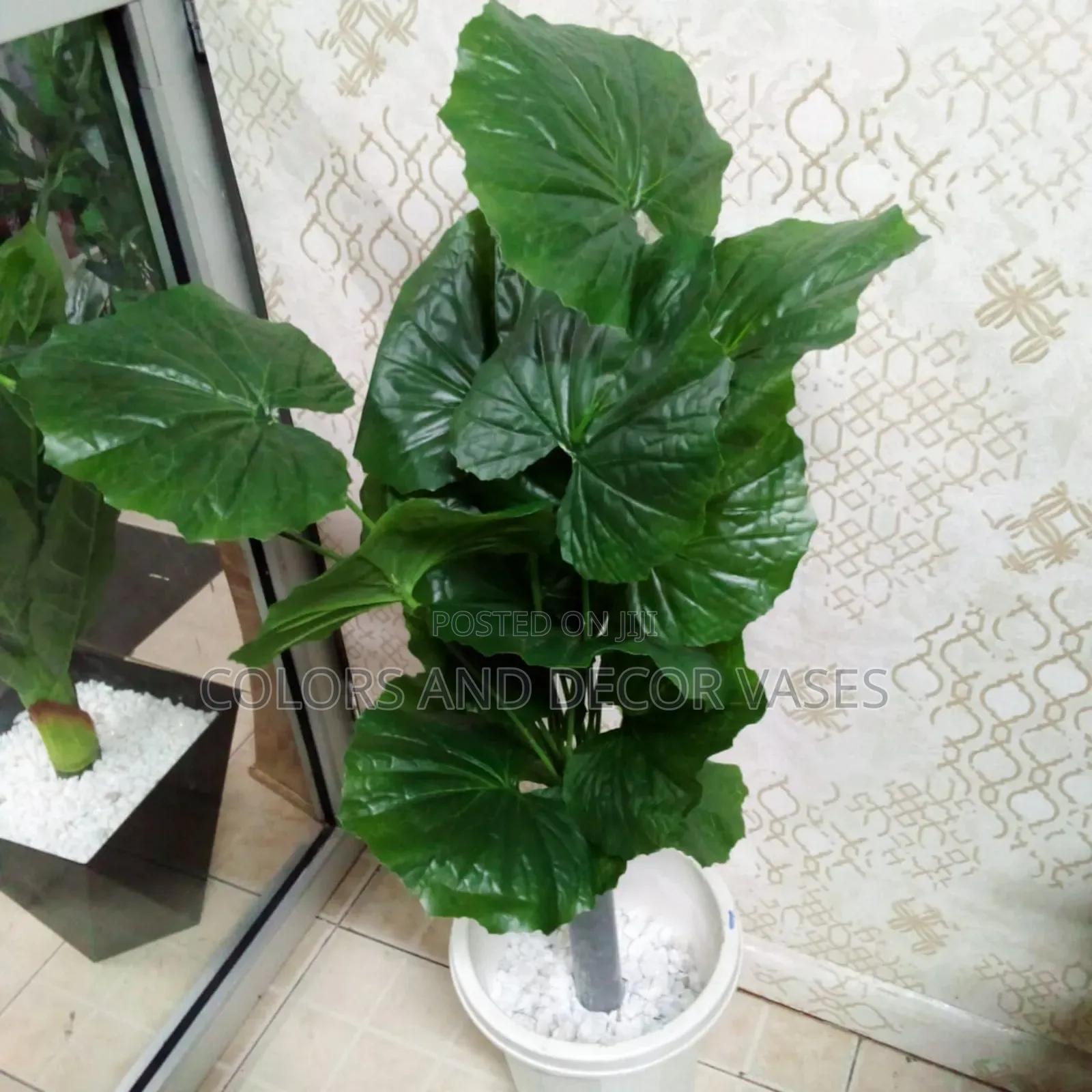 1.2m Plant With Vase on Offer