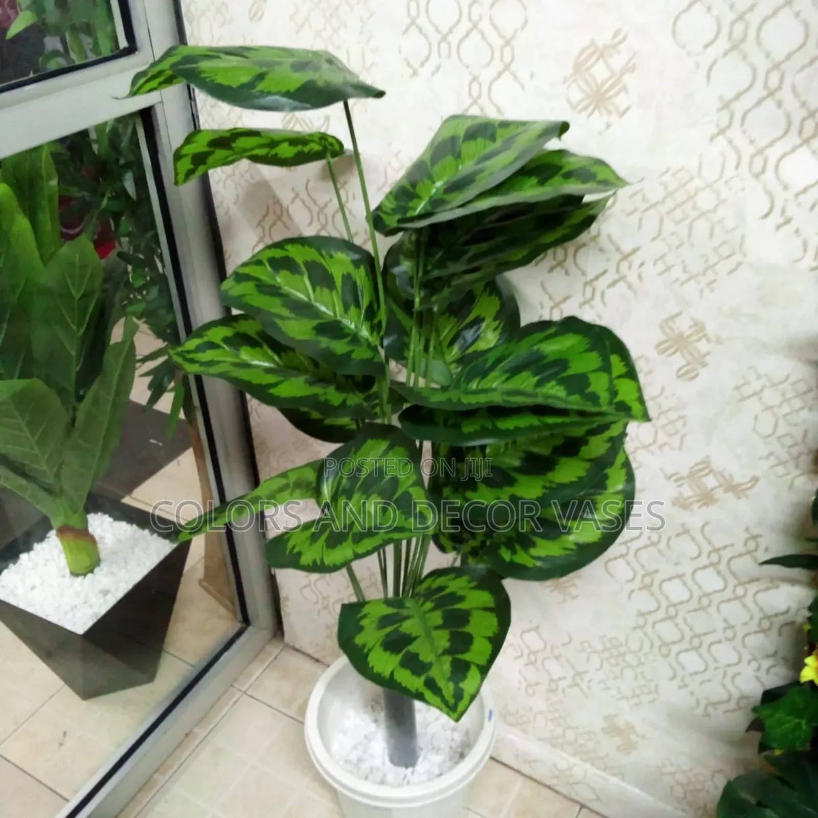Offer Price Plant and Vase