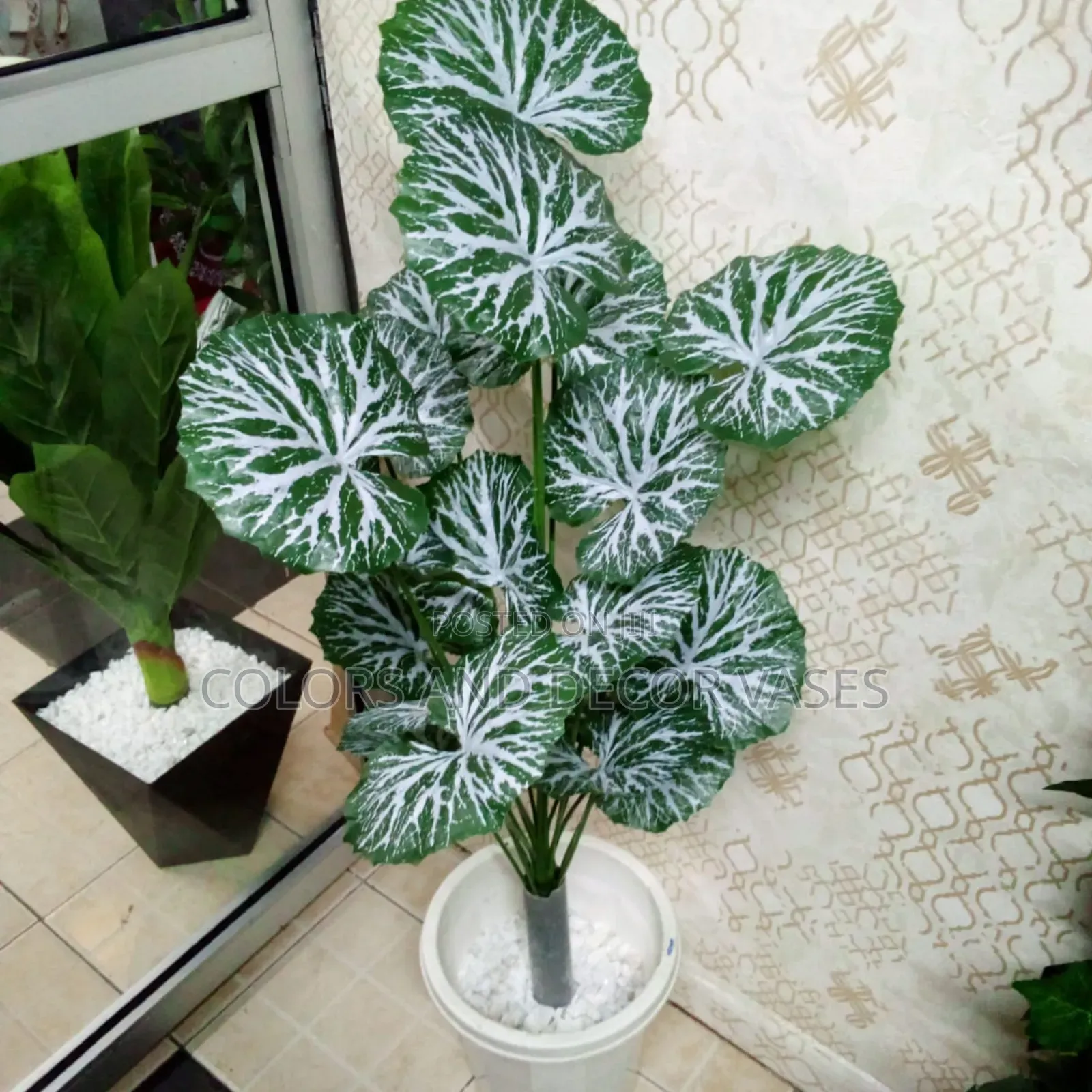 White Green Flowers With Pot