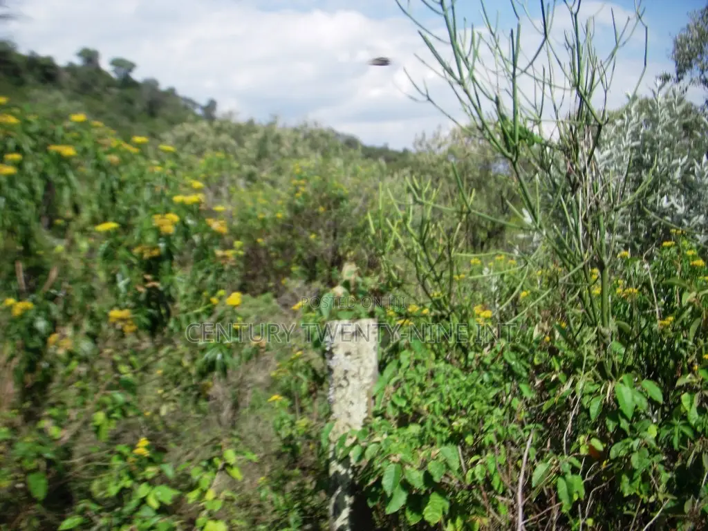 Kekopey Land Sale of 10 Acres