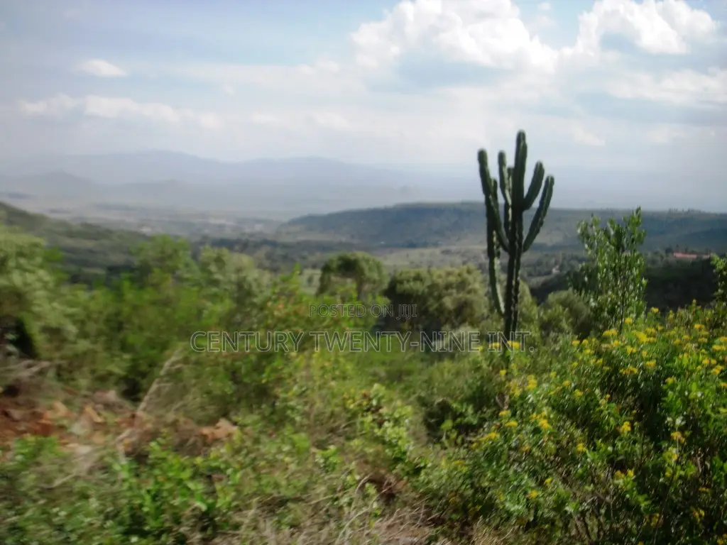 Kekopey Land Sale of 10 Acres