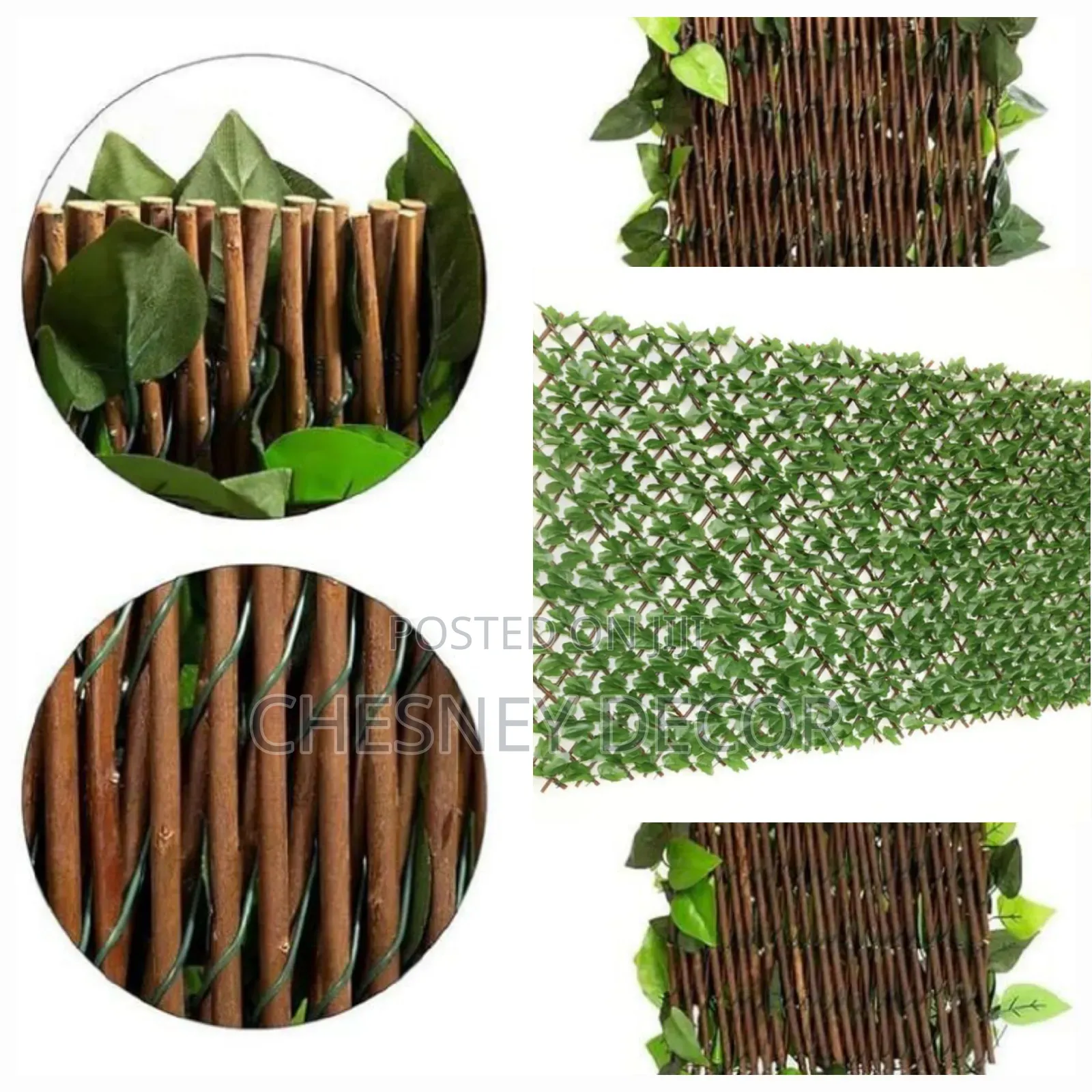 Fencing Hedge
