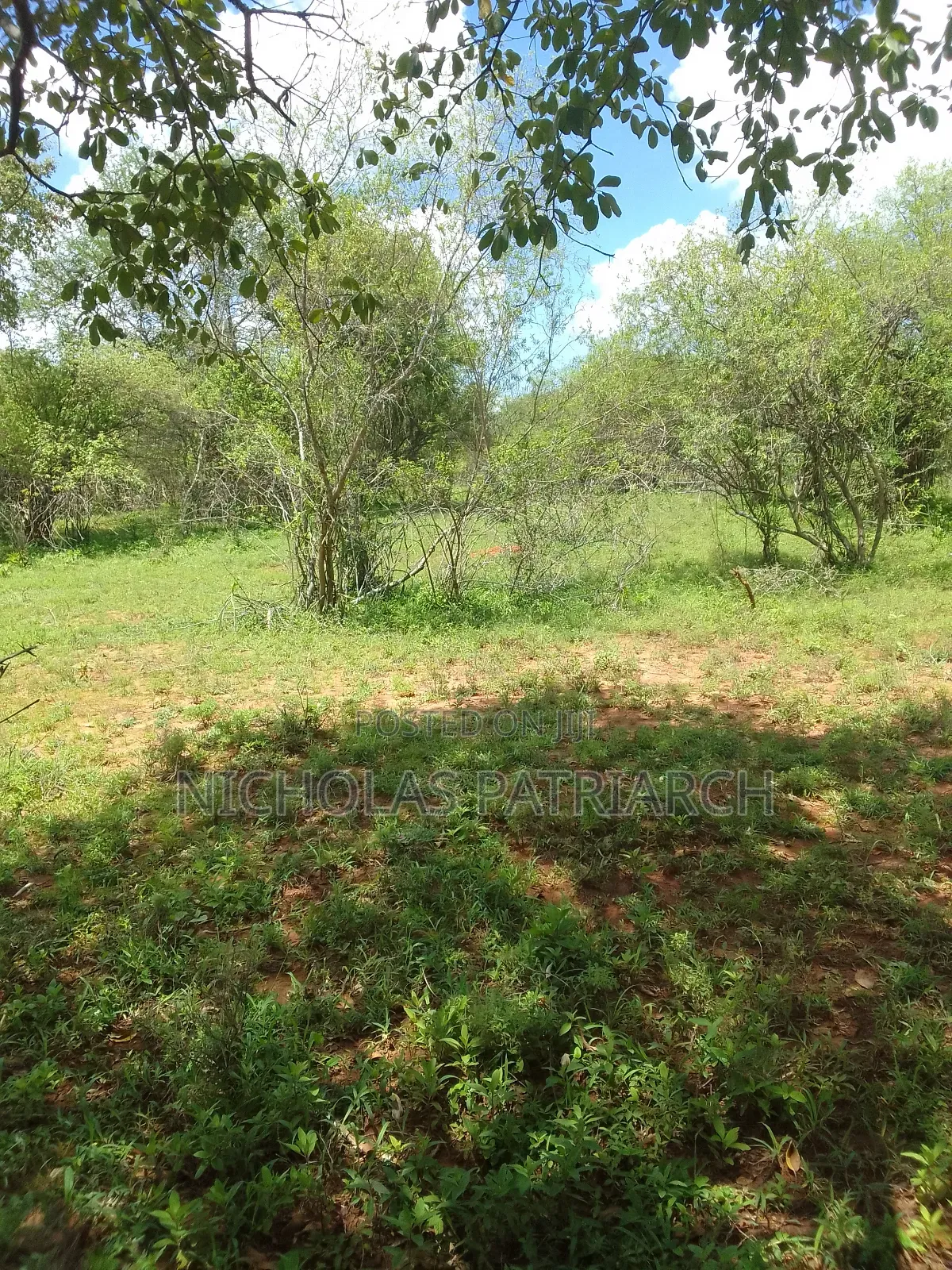 7 Acres Wamunyu-Miondoni Selling at Per Acre