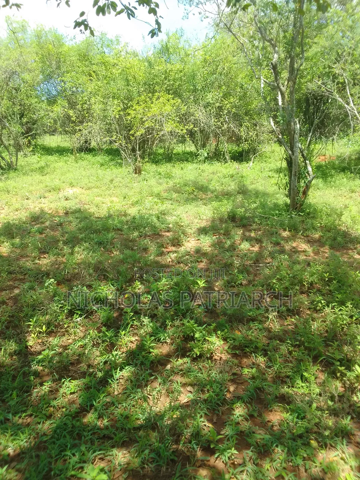 7 Acres Wamunyu-Miondoni Selling at Per Acre