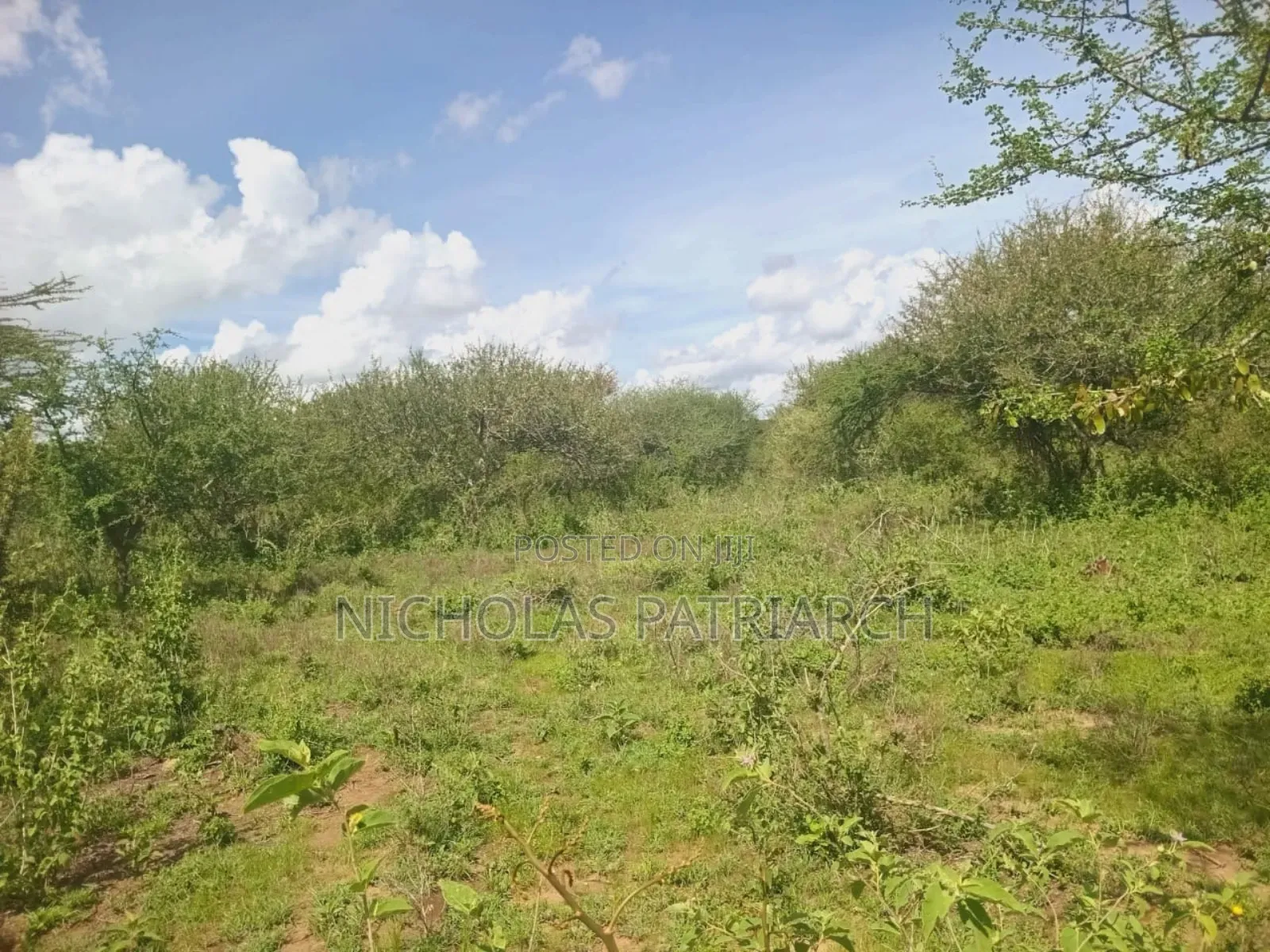 20 Acres Wamunyu-Lema Selling at .Per Acre