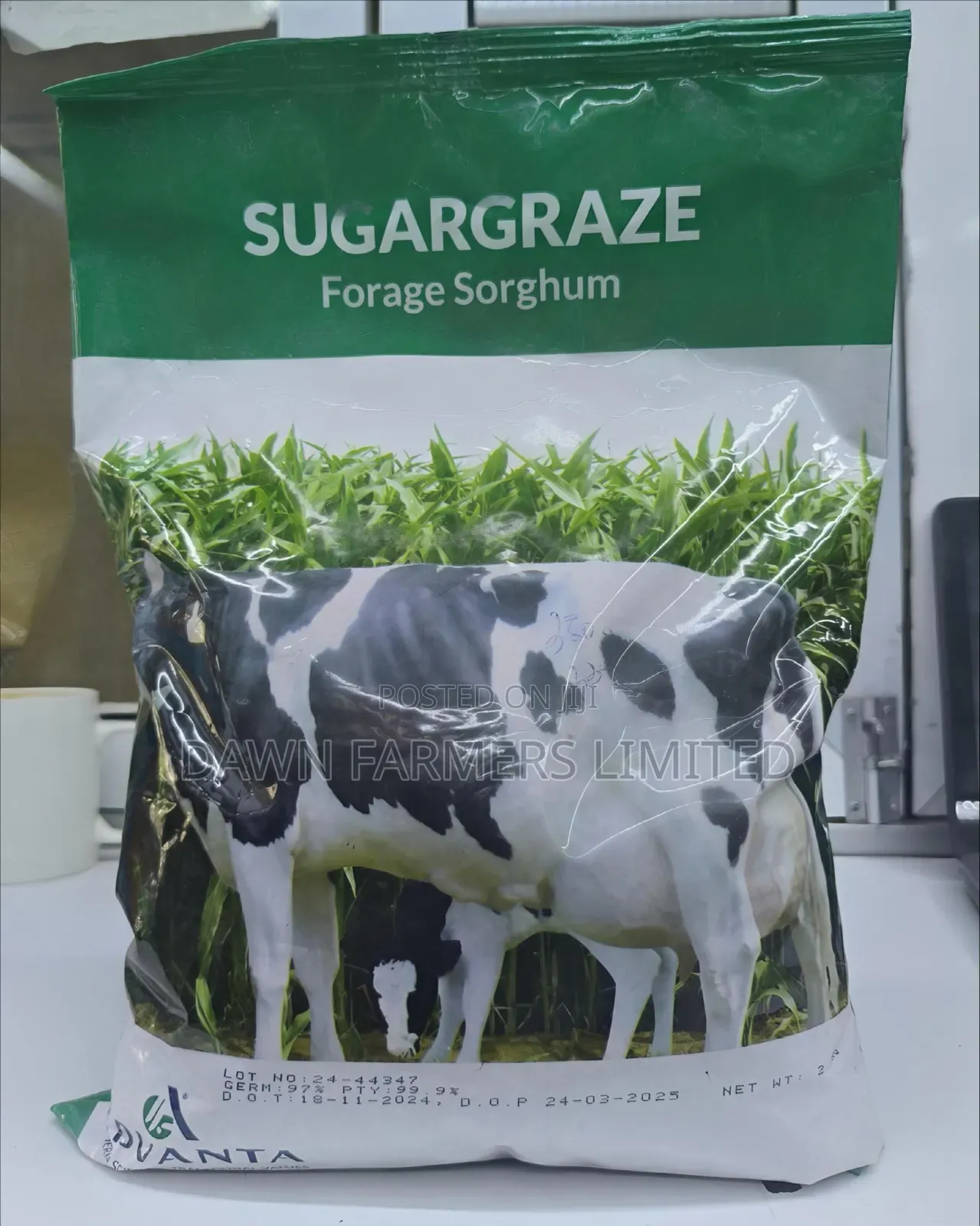 Sugargraze Forage Sorghum 2kg